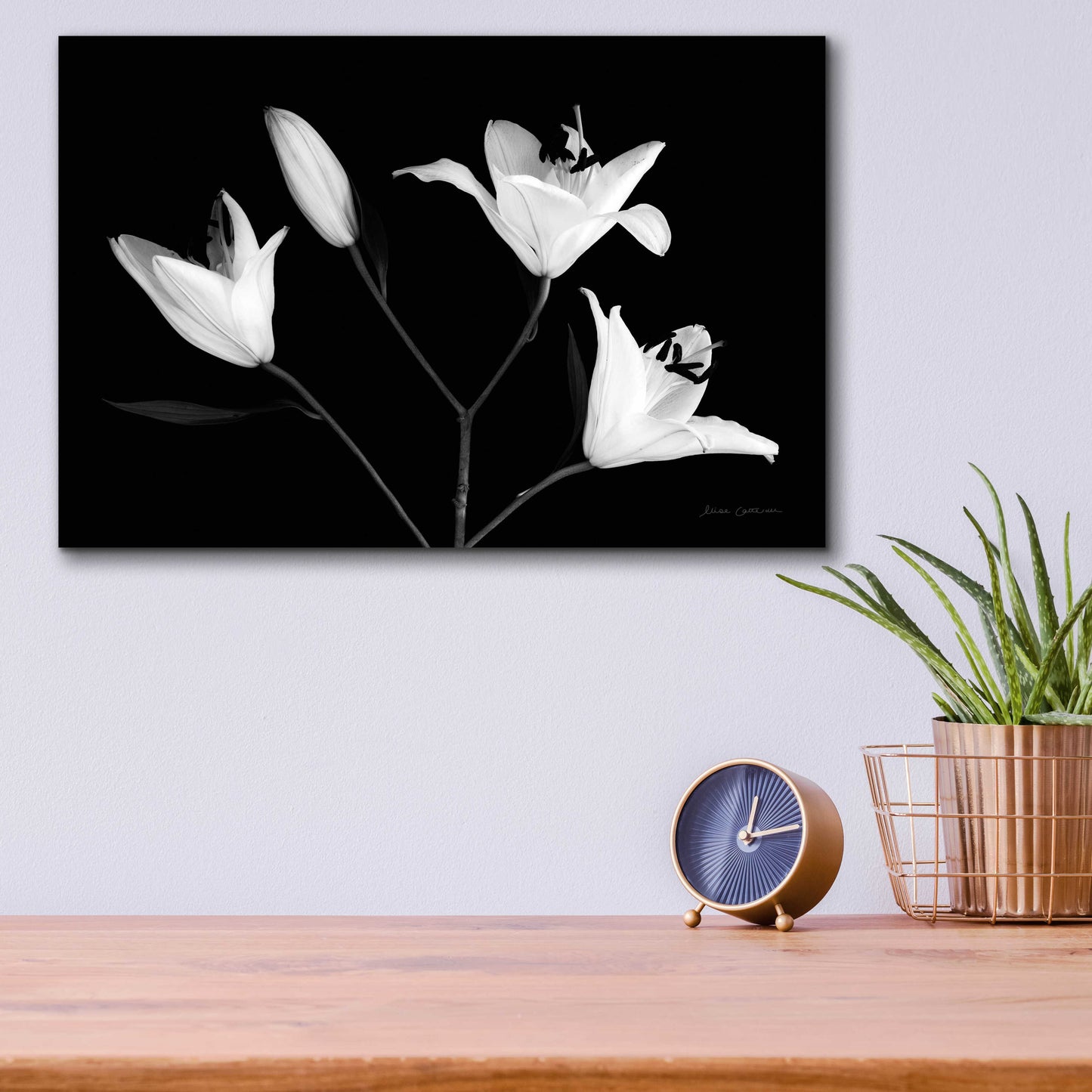 Epic Art 'Spray of Lilies' by Elise Catterall, Acrylic Glass Wall Art,16x12