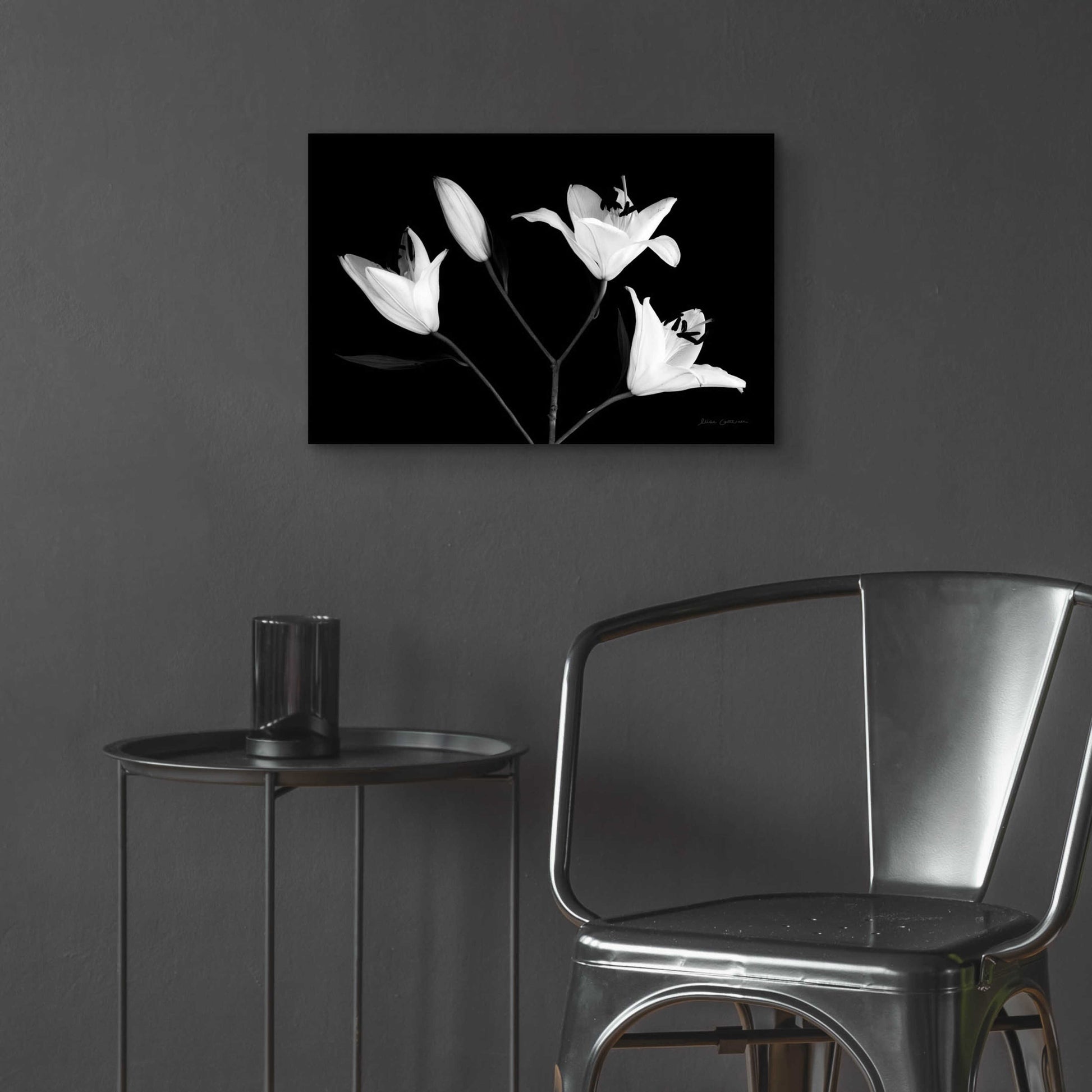 Epic Art 'Spray of Lilies' by Elise Catterall, Acrylic Glass Wall Art,24x16