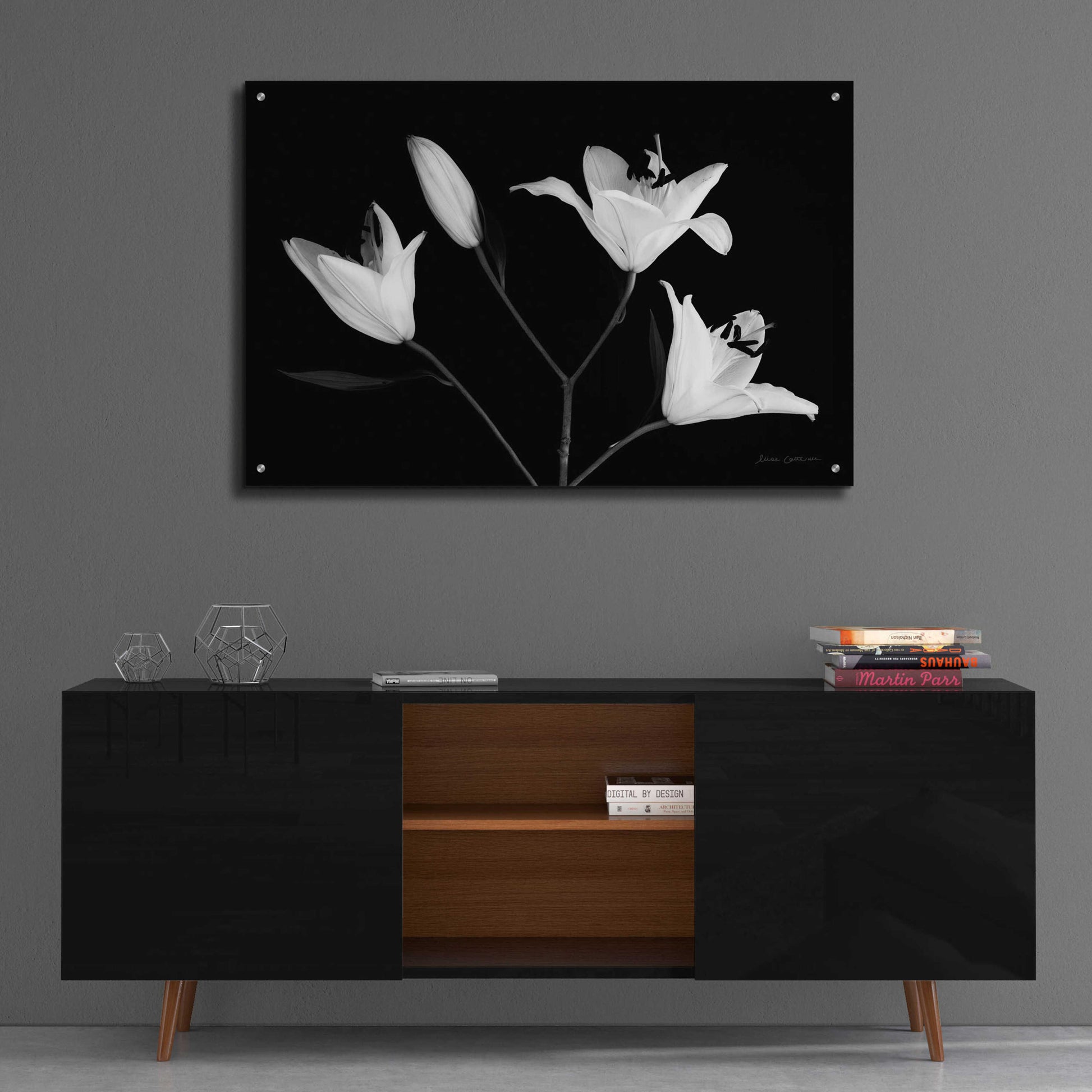 Epic Art 'Spray of Lilies' by Elise Catterall, Acrylic Glass Wall Art,36x24