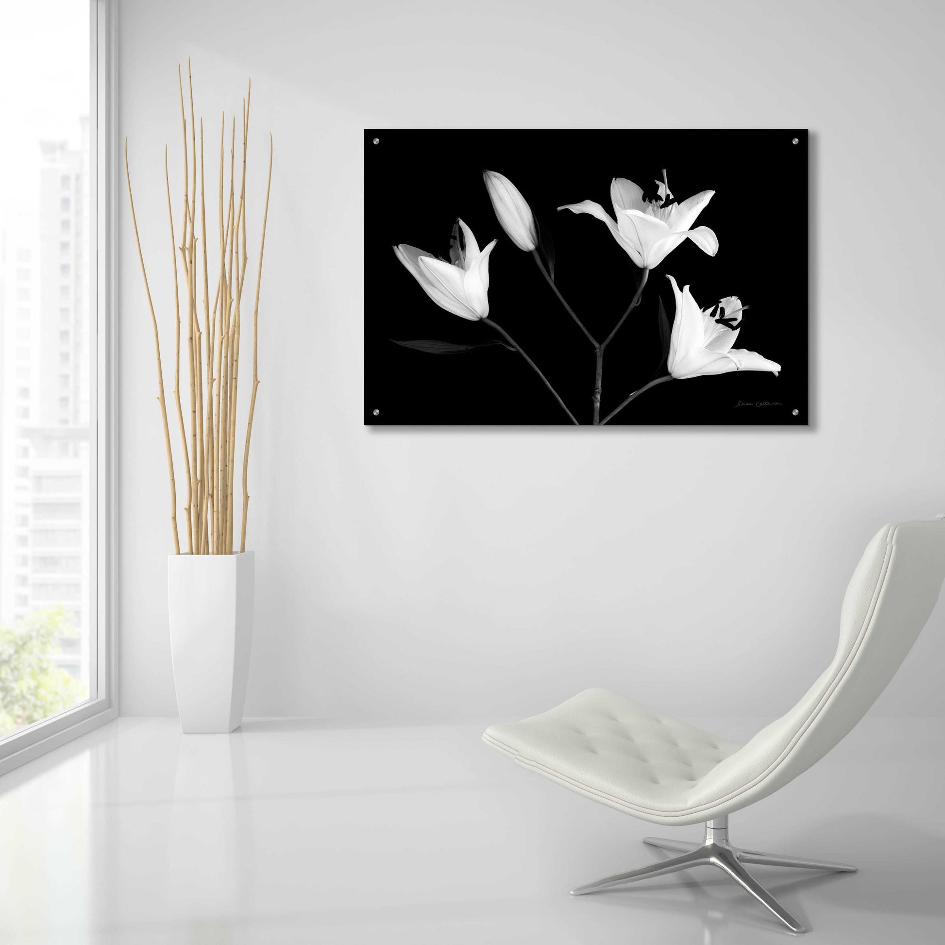 Epic Art 'Spray of Lilies' by Elise Catterall, Acrylic Glass Wall Art,36x24