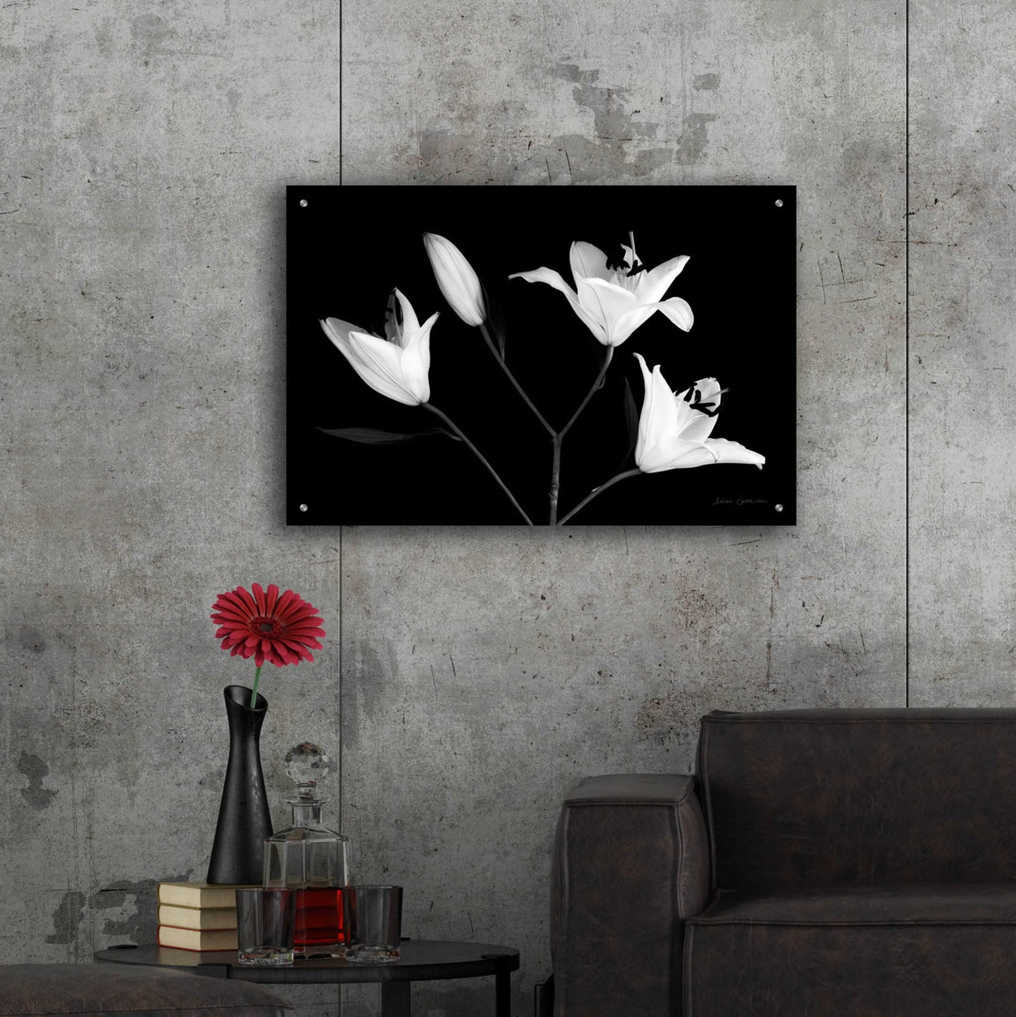 Epic Art 'Spray of Lilies' by Elise Catterall, Acrylic Glass Wall Art,36x24