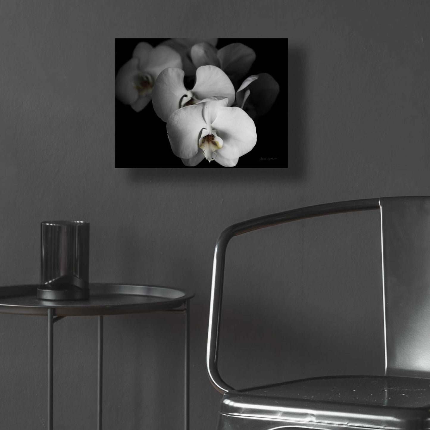 Epic Art 'White Orchid I' by Elise Catterall, Acrylic Glass Wall Art,16x12