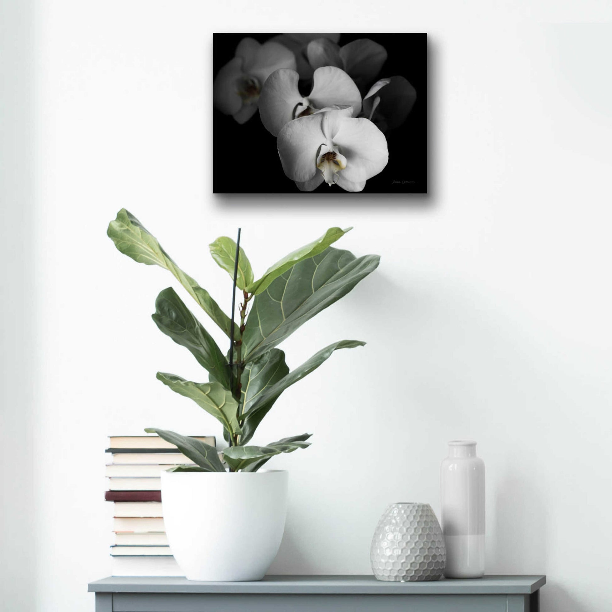 Epic Art 'White Orchid I' by Elise Catterall, Acrylic Glass Wall Art,16x12