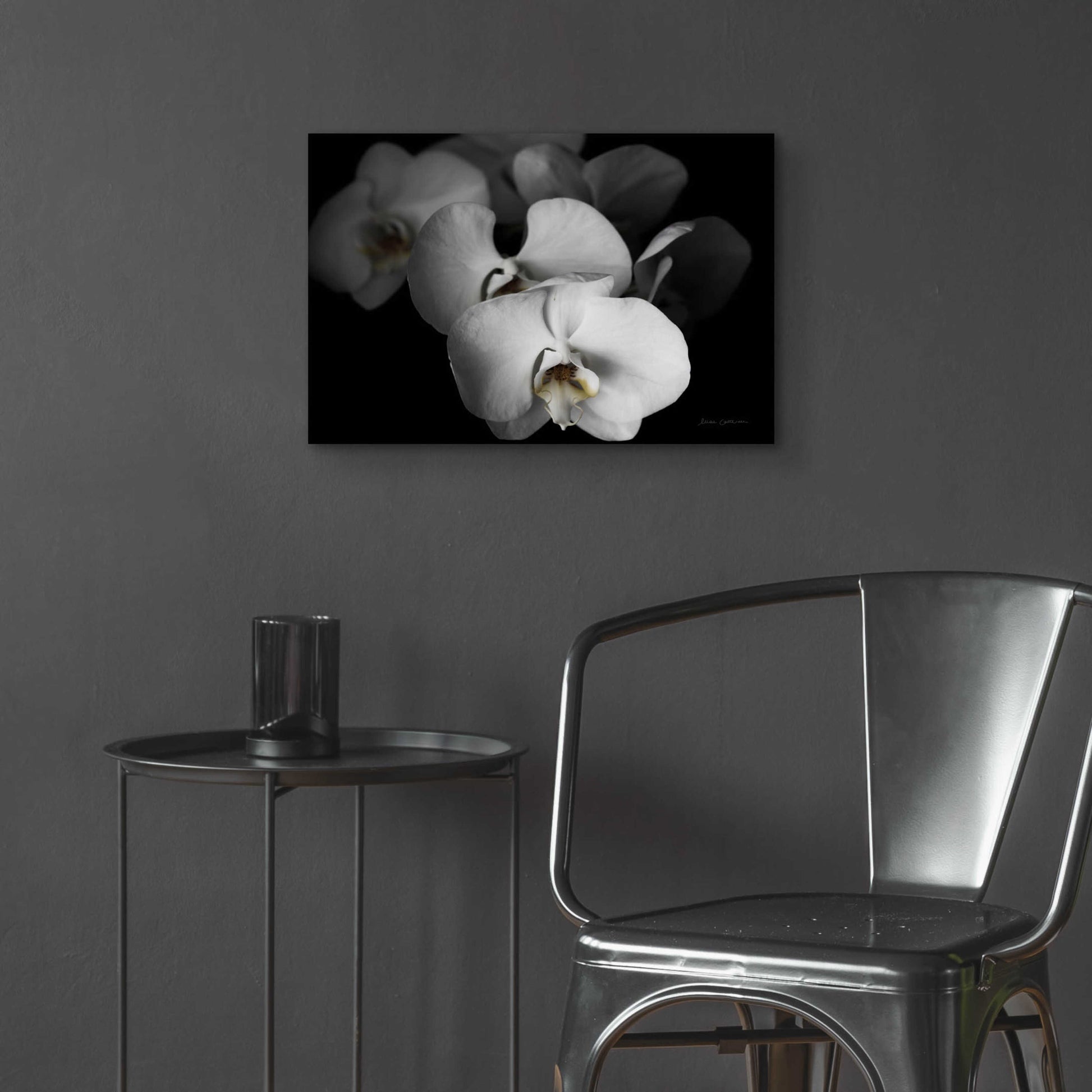 Epic Art 'White Orchid I' by Elise Catterall, Acrylic Glass Wall Art,24x16