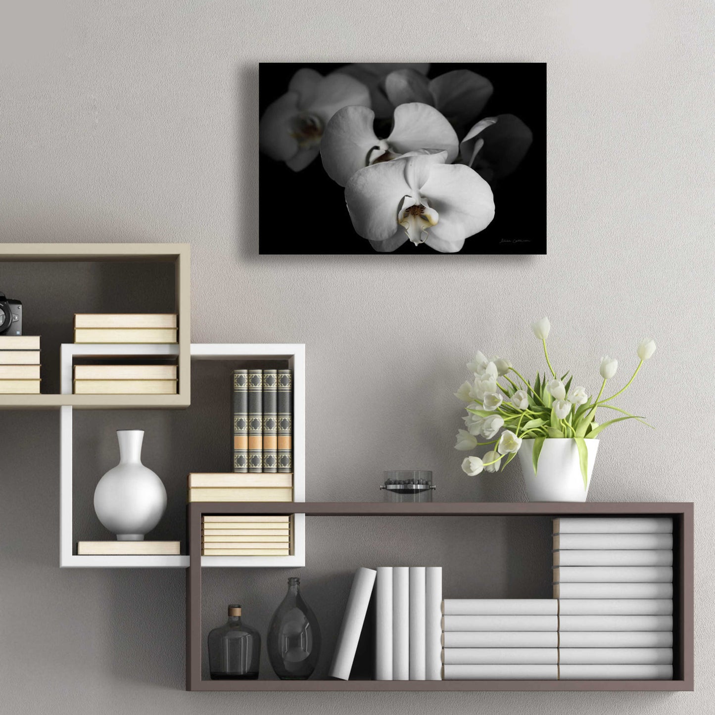 Epic Art 'White Orchid I' by Elise Catterall, Acrylic Glass Wall Art,24x16