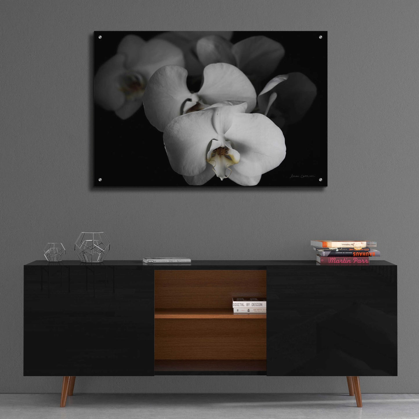 Epic Art 'White Orchid I' by Elise Catterall, Acrylic Glass Wall Art,36x24