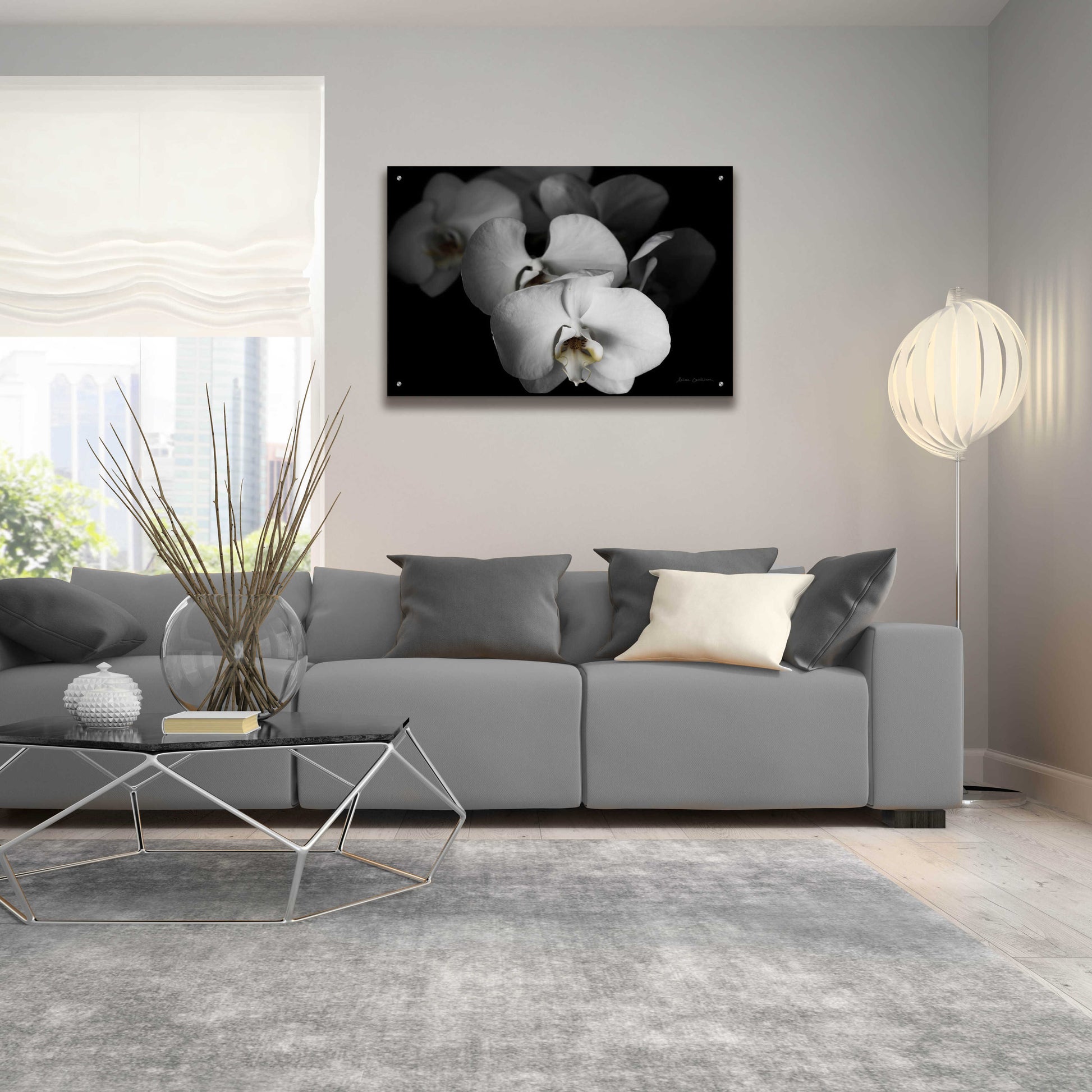 Epic Art 'White Orchid I' by Elise Catterall, Acrylic Glass Wall Art,36x24