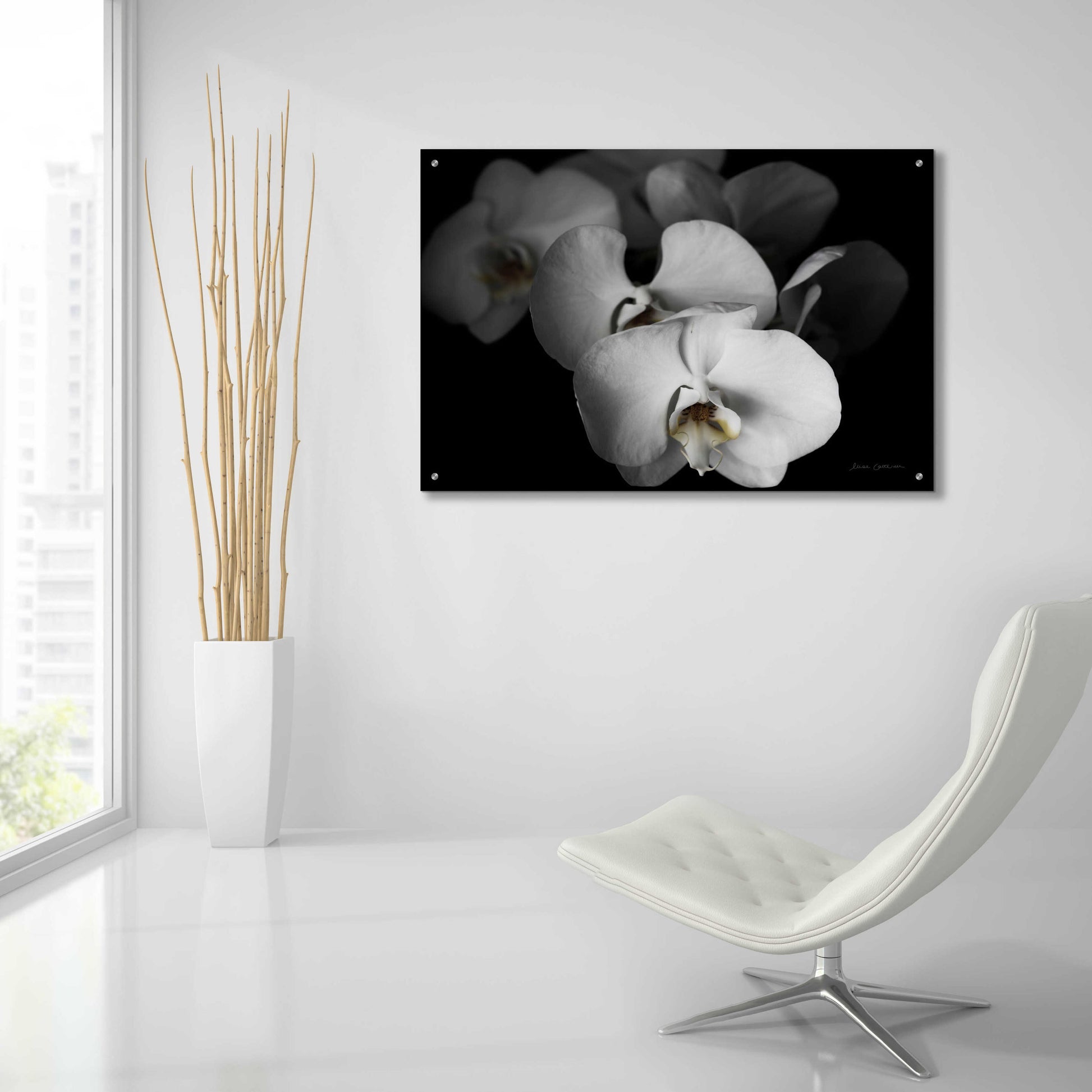 Epic Art 'White Orchid I' by Elise Catterall, Acrylic Glass Wall Art,36x24