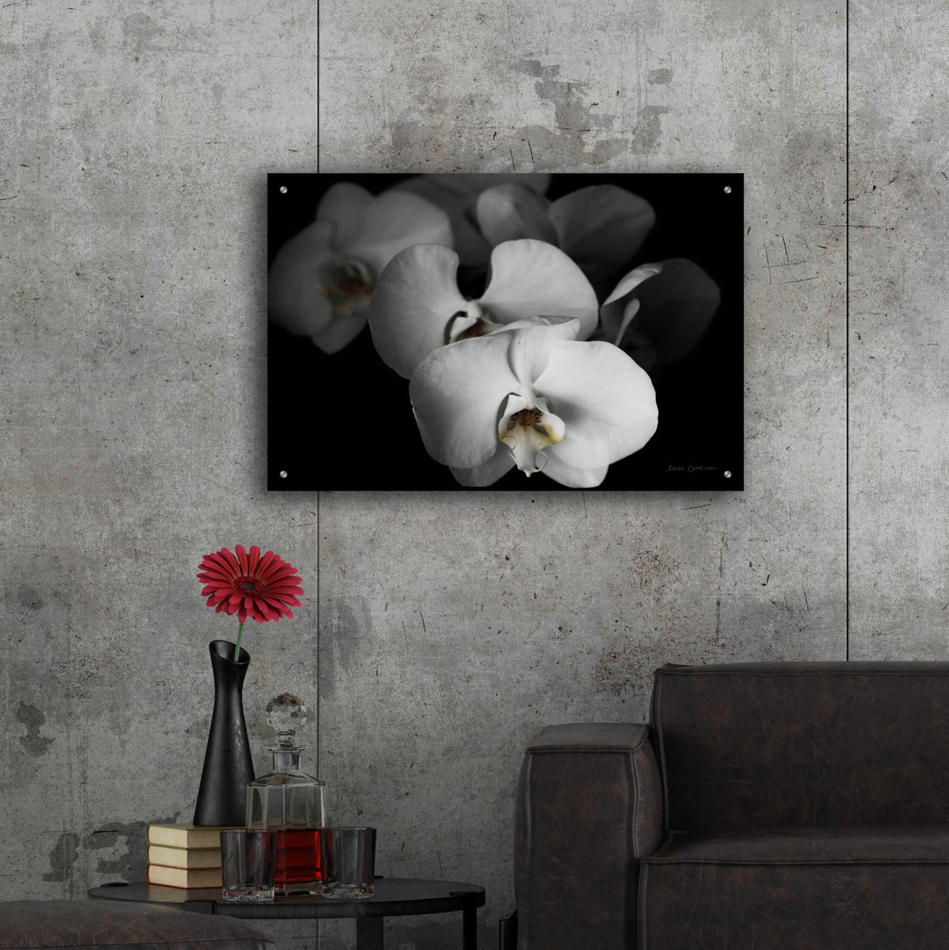 Epic Art 'White Orchid I' by Elise Catterall, Acrylic Glass Wall Art,36x24