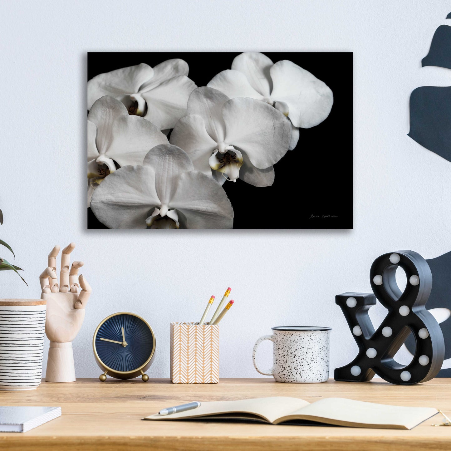 Epic Art 'White Orchid II' by Elise Catterall, Acrylic Glass Wall Art,16x12