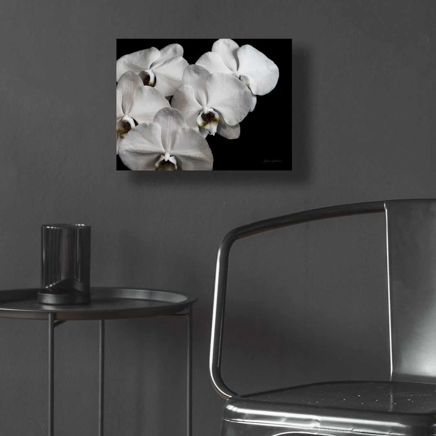 Epic Art 'White Orchid II' by Elise Catterall, Acrylic Glass Wall Art,16x12