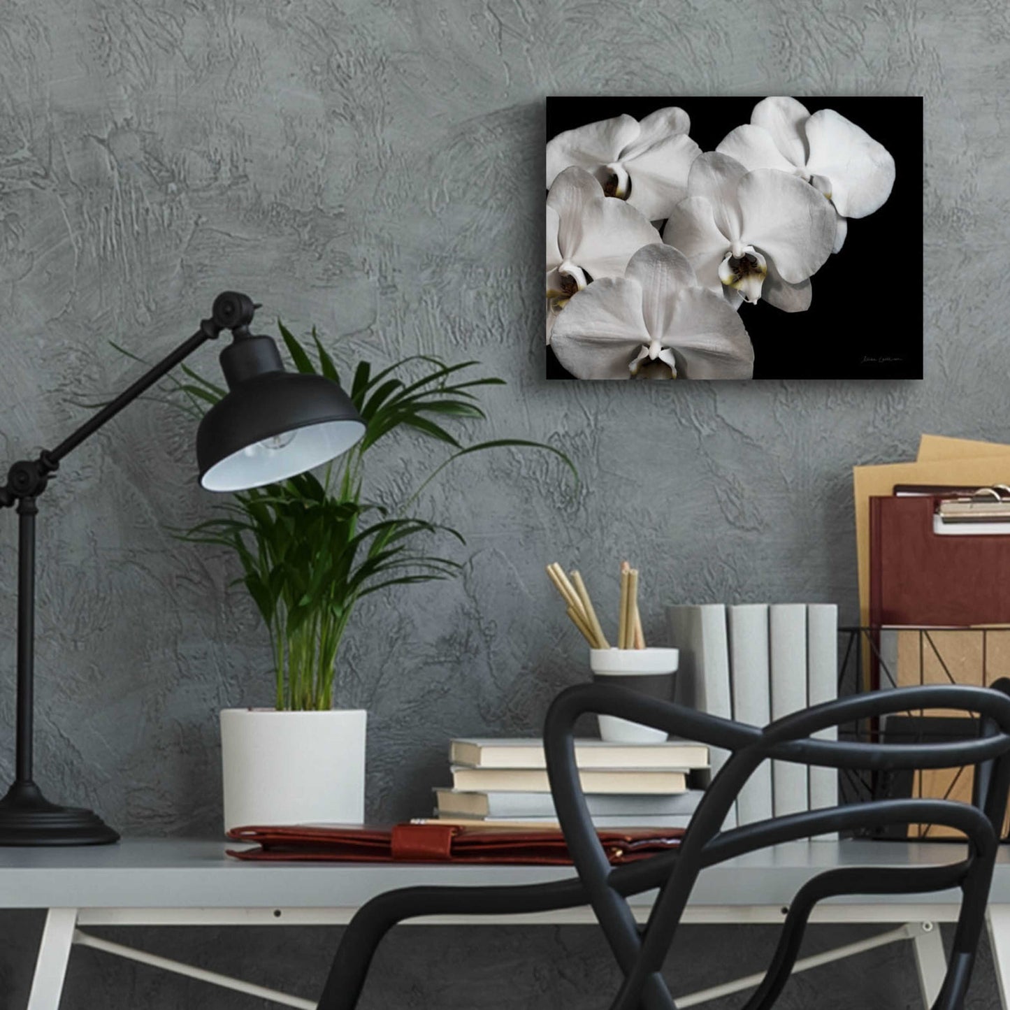 Epic Art 'White Orchid II' by Elise Catterall, Acrylic Glass Wall Art,16x12