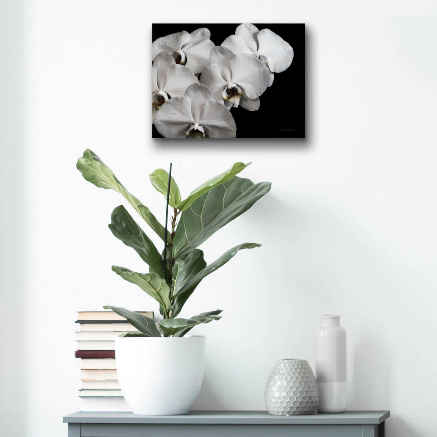 Epic Art 'White Orchid II' by Elise Catterall, Acrylic Glass Wall Art,16x12