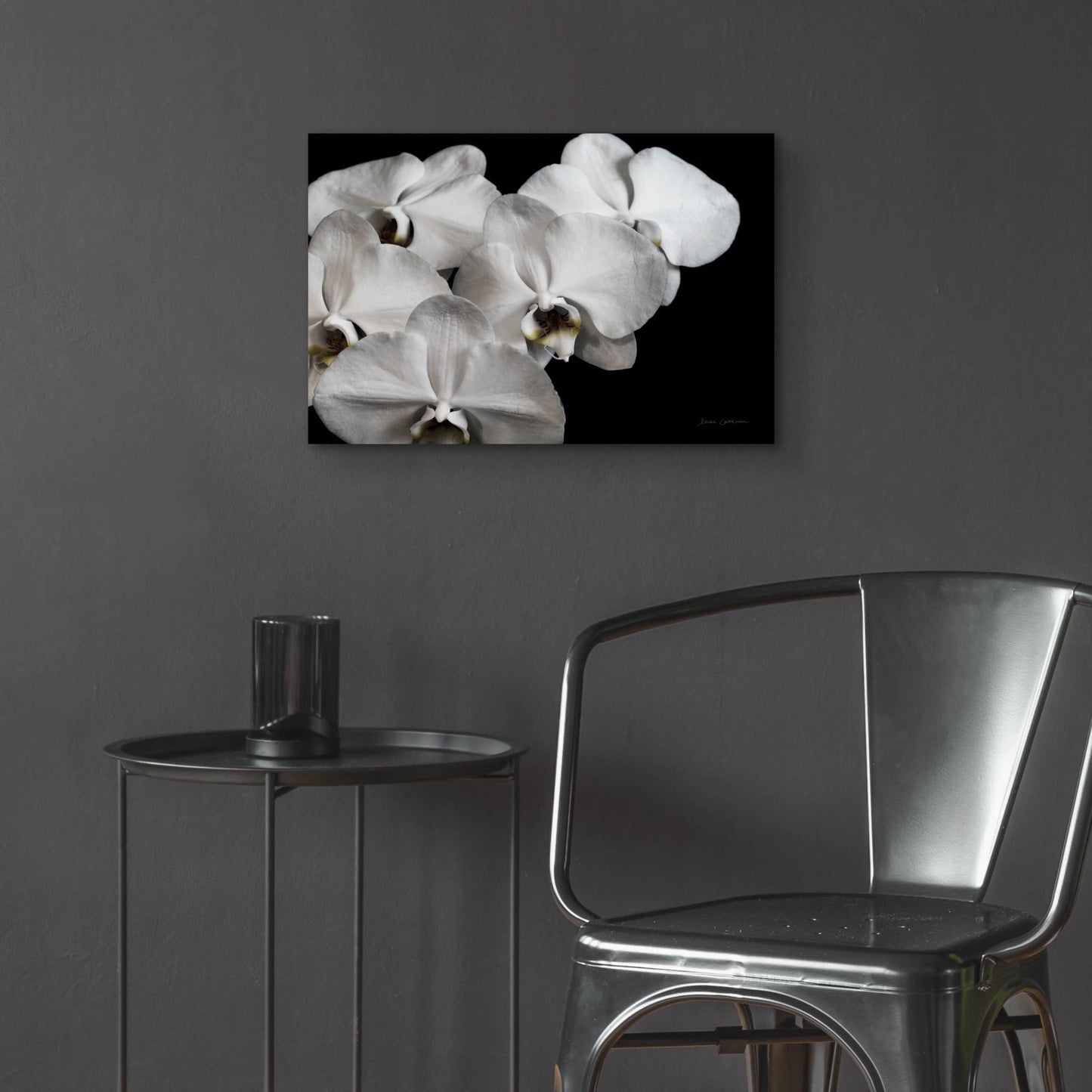 Epic Art 'White Orchid II' by Elise Catterall, Acrylic Glass Wall Art,24x16