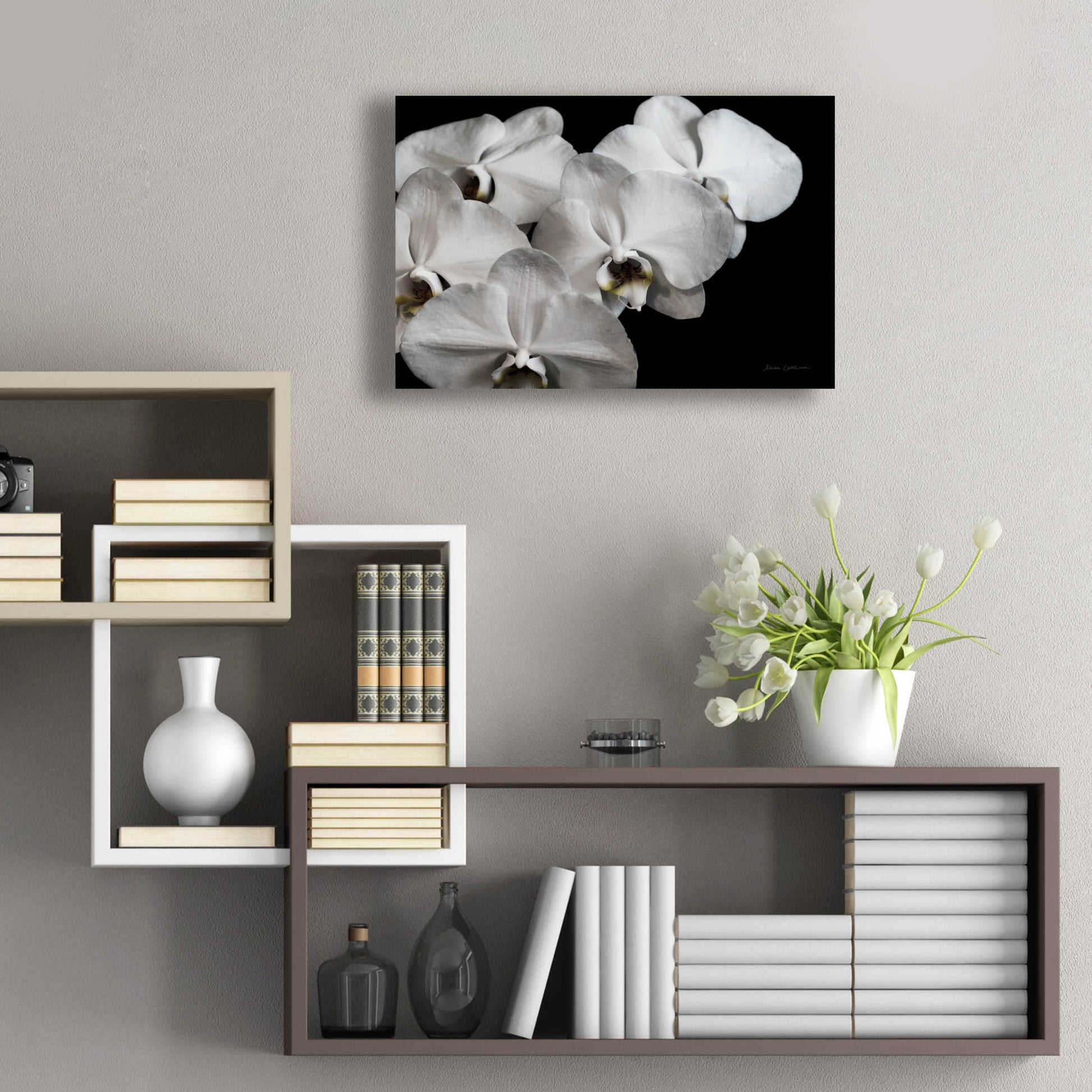 Epic Art 'White Orchid II' by Elise Catterall, Acrylic Glass Wall Art,24x16