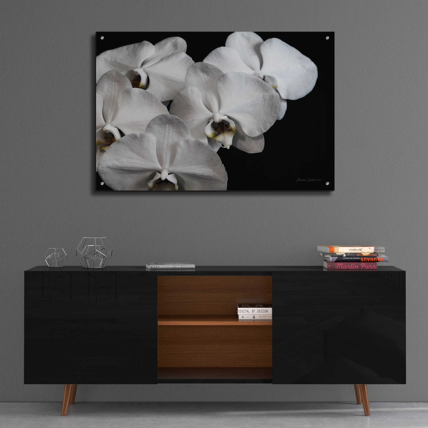 Epic Art 'White Orchid II' by Elise Catterall, Acrylic Glass Wall Art,36x24