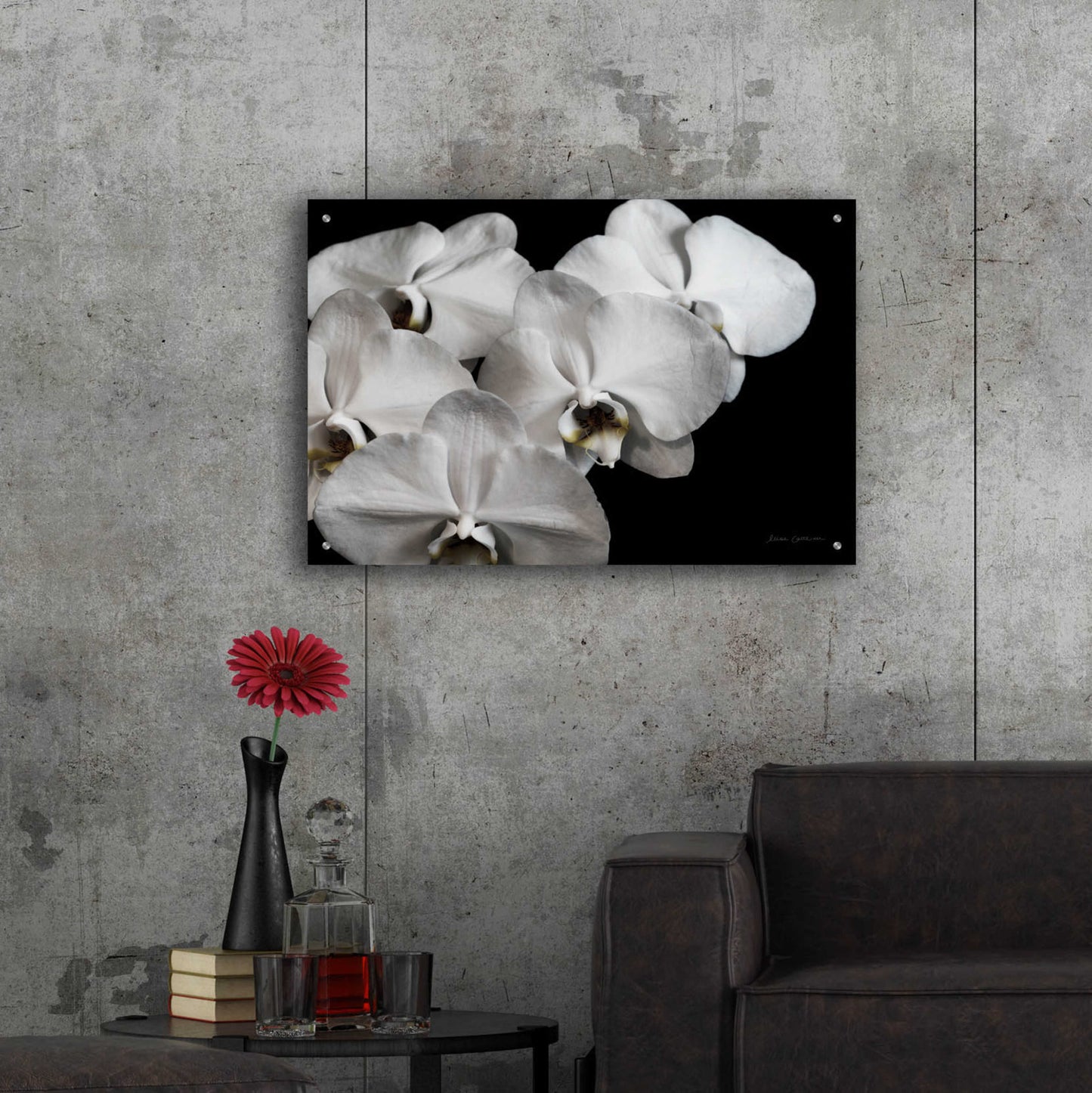 Epic Art 'White Orchid II' by Elise Catterall, Acrylic Glass Wall Art,36x24