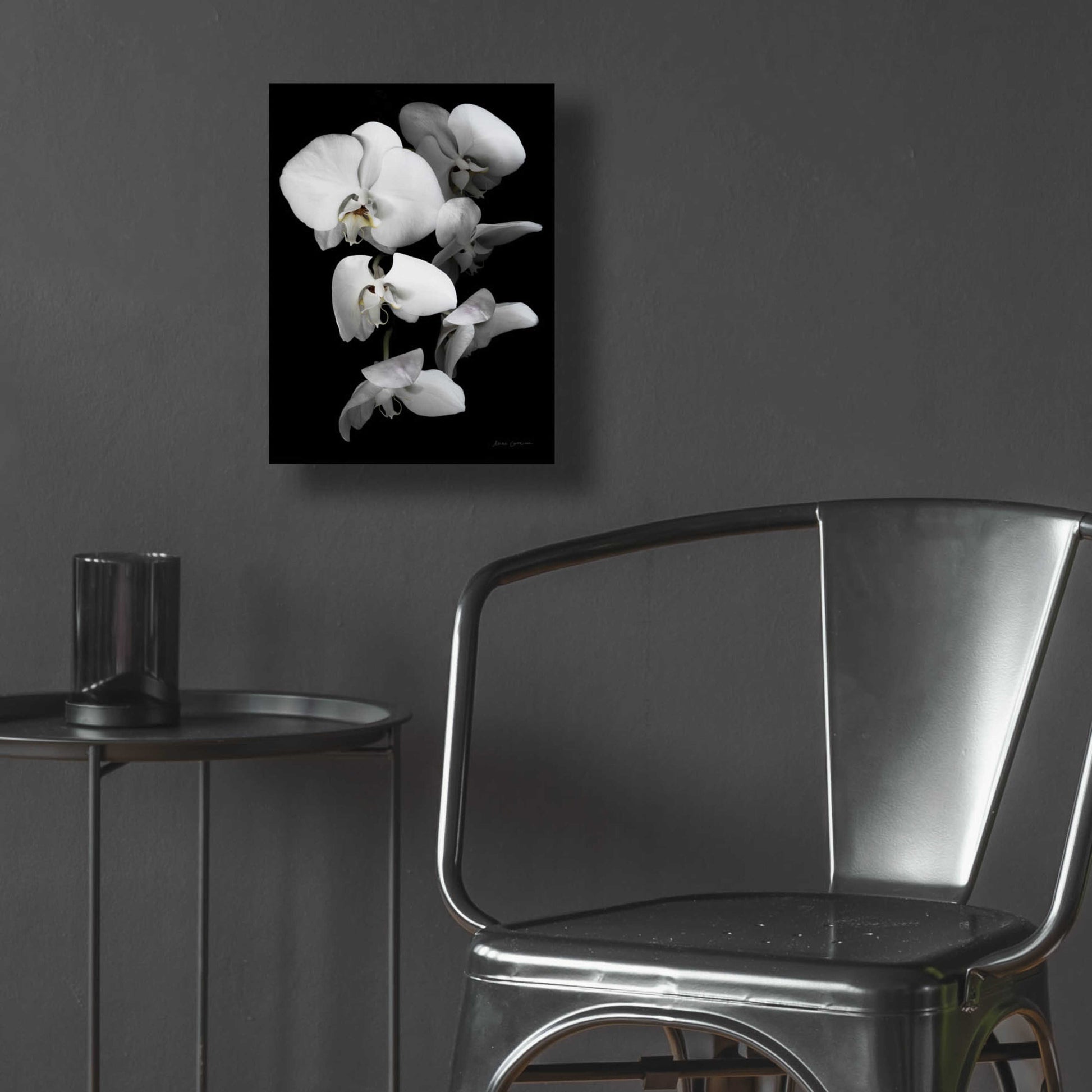 Epic Art 'White Orchid III' by Elise Catterall, Acrylic Glass Wall Art,12x16