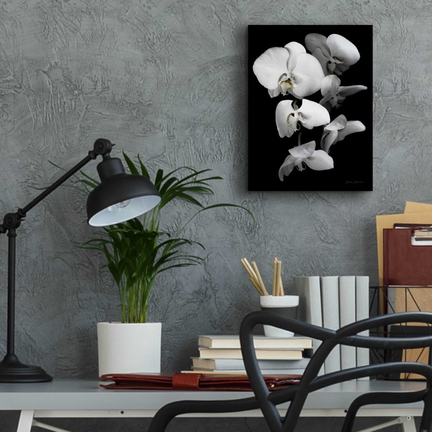 Epic Art 'White Orchid III' by Elise Catterall, Acrylic Glass Wall Art,12x16