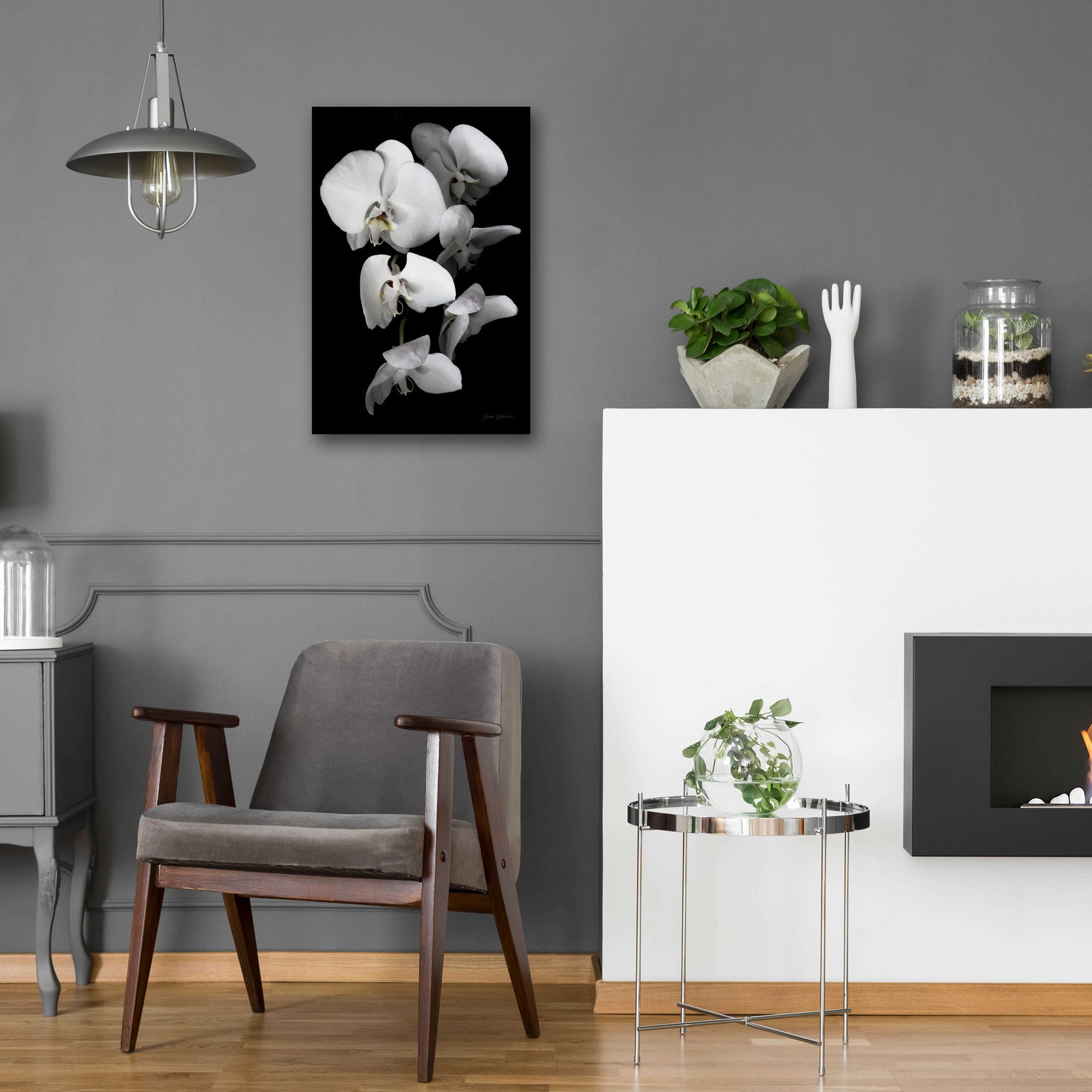 Epic Art 'White Orchid III' by Elise Catterall, Acrylic Glass Wall Art,16x24