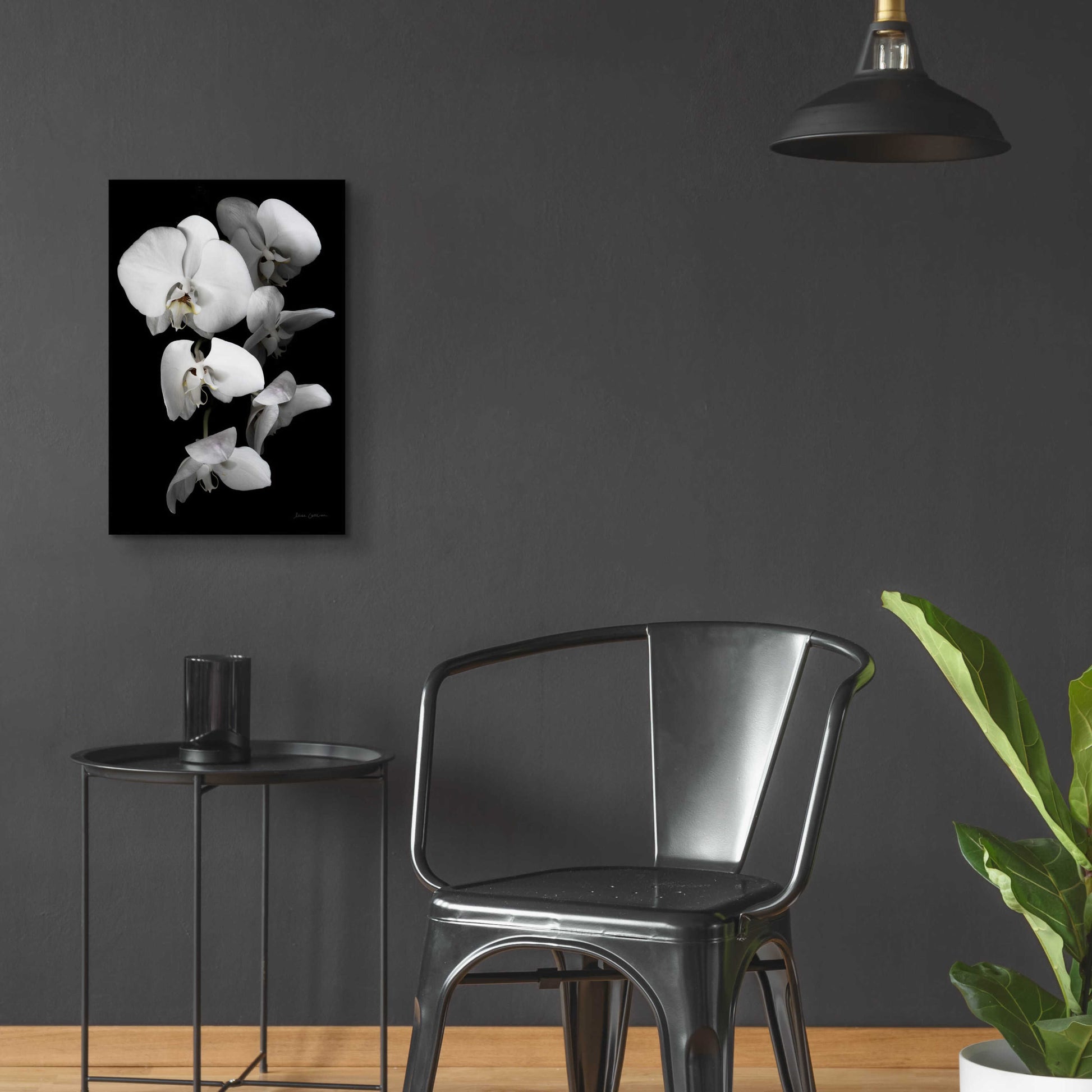 Epic Art 'White Orchid III' by Elise Catterall, Acrylic Glass Wall Art,16x24