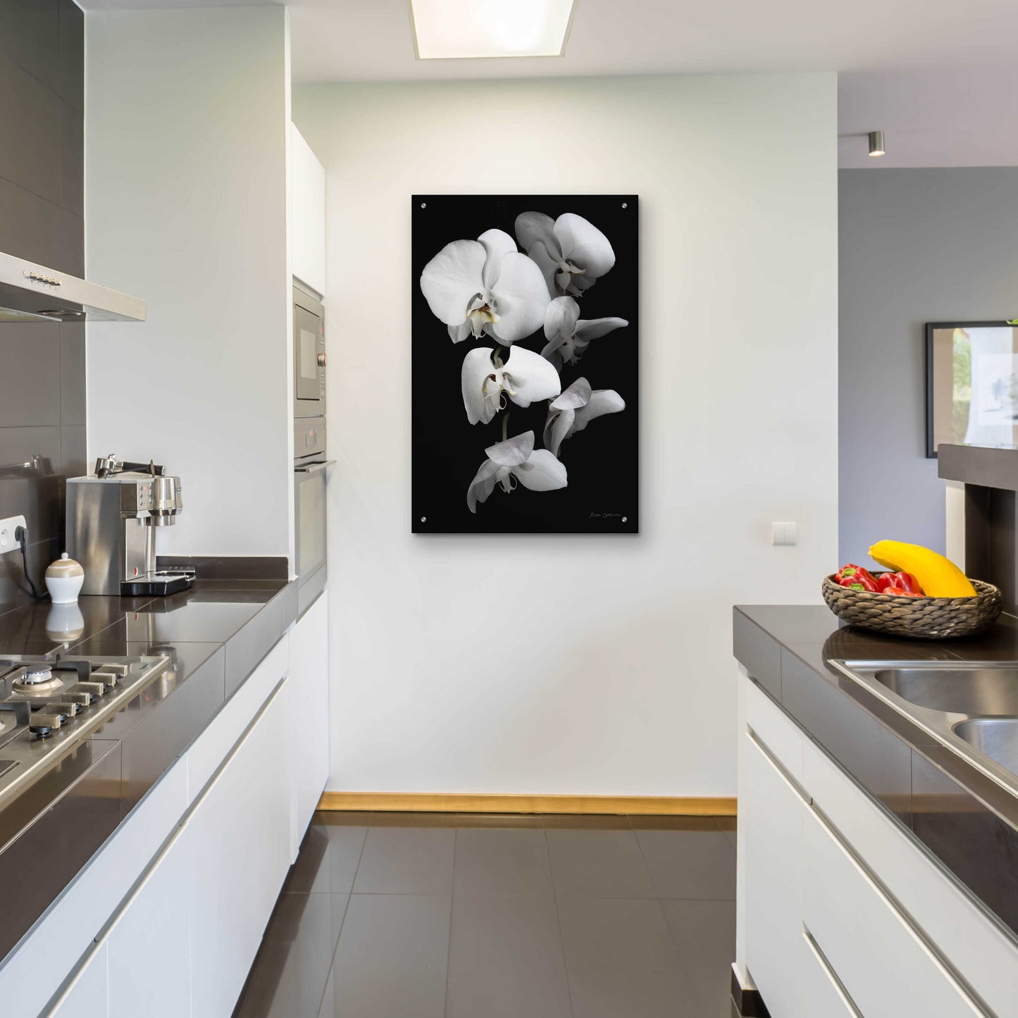 Epic Art 'White Orchid III' by Elise Catterall, Acrylic Glass Wall Art,24x36