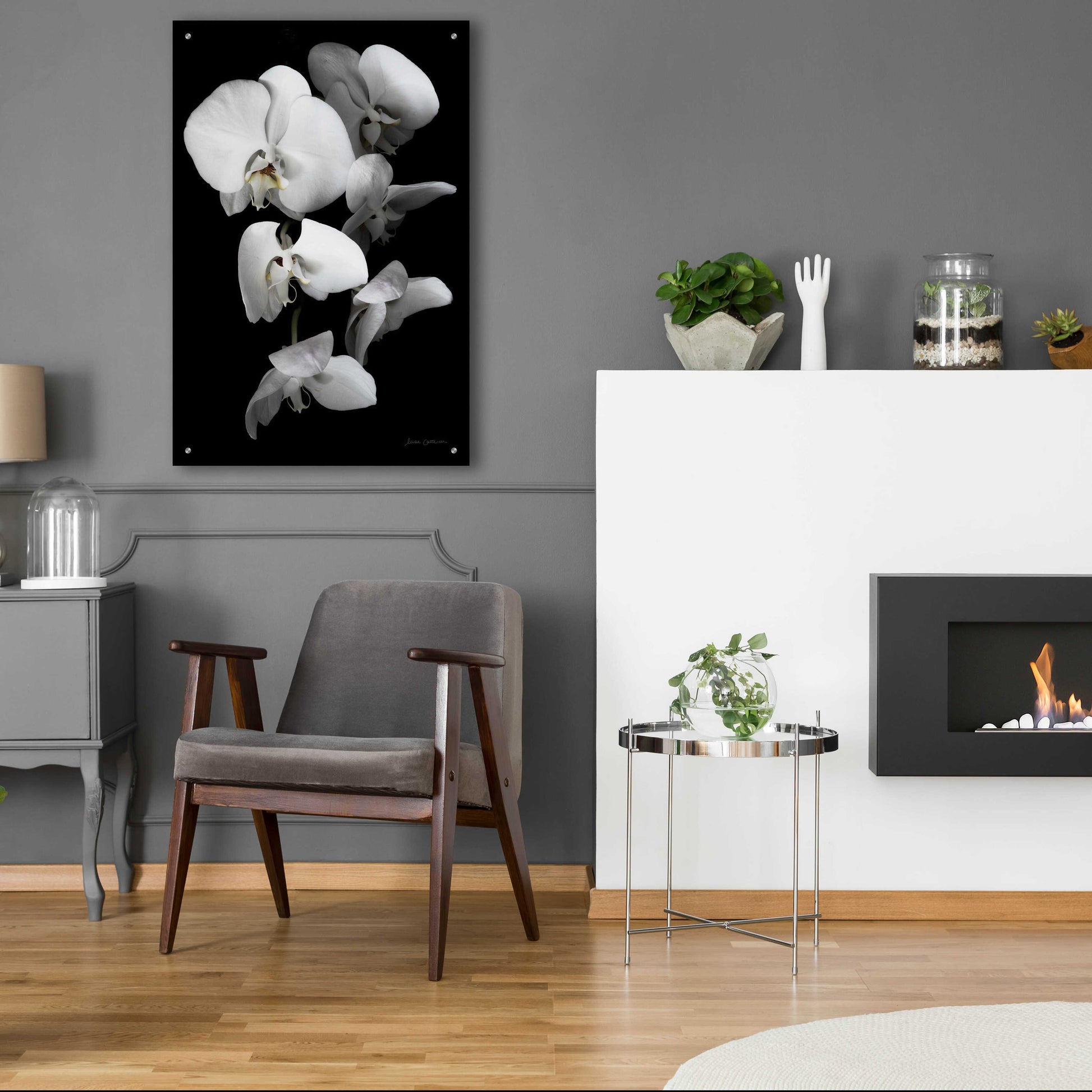 Epic Art 'White Orchid III' by Elise Catterall, Acrylic Glass Wall Art,24x36