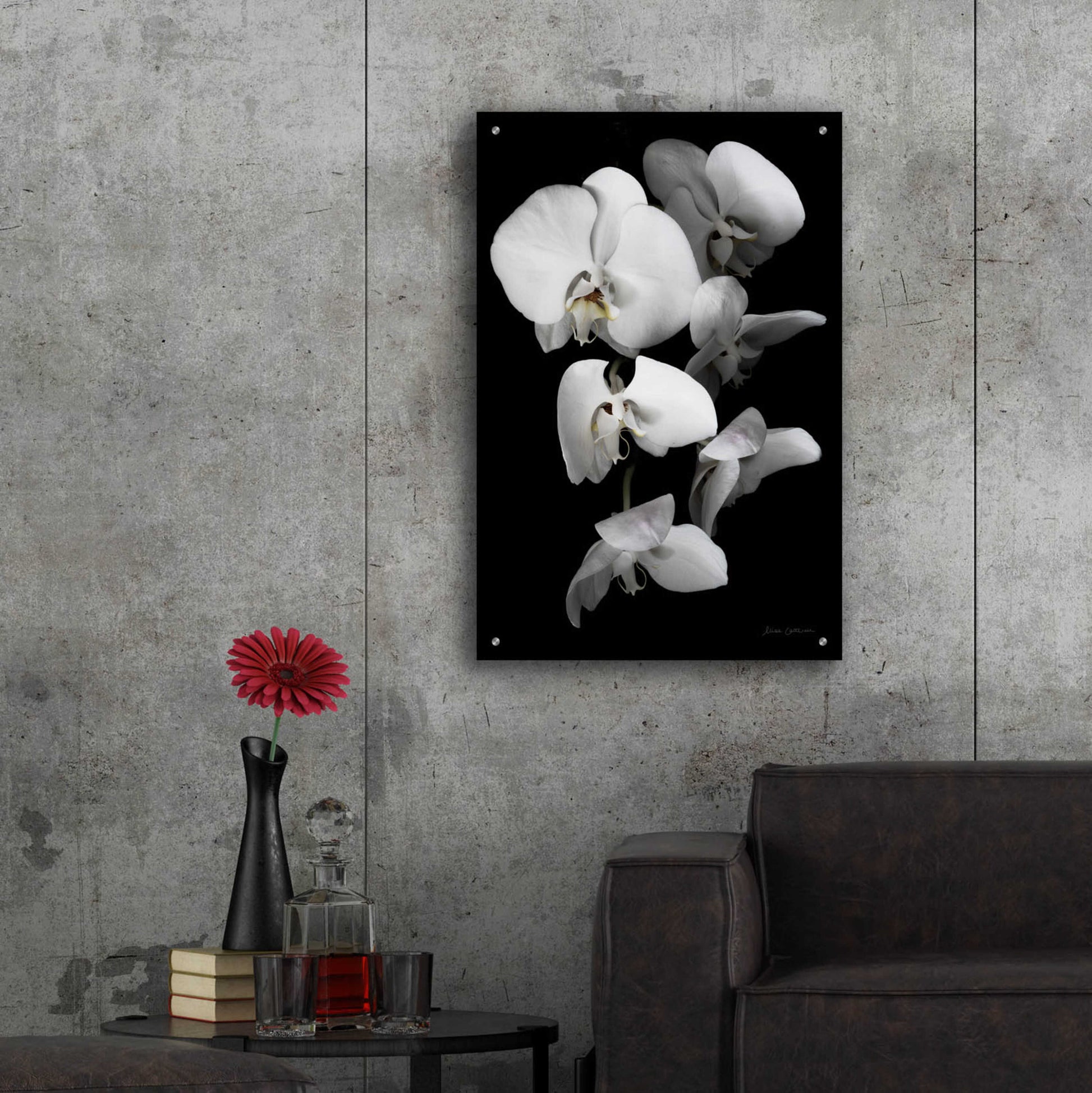 Epic Art 'White Orchid III' by Elise Catterall, Acrylic Glass Wall Art,24x36