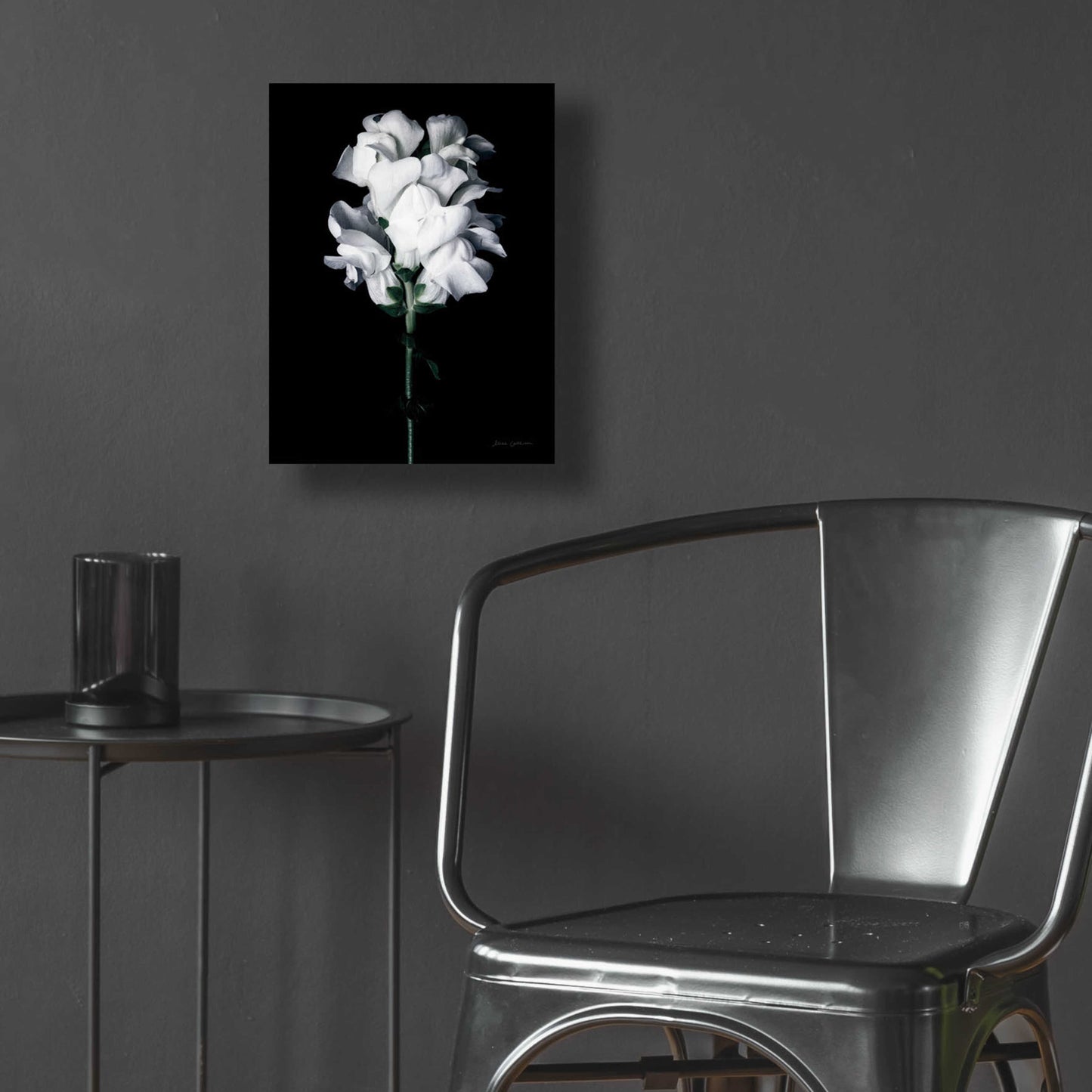 Epic Art 'White Snapdragon' by Elise Catterall, Acrylic Glass Wall Art,12x16