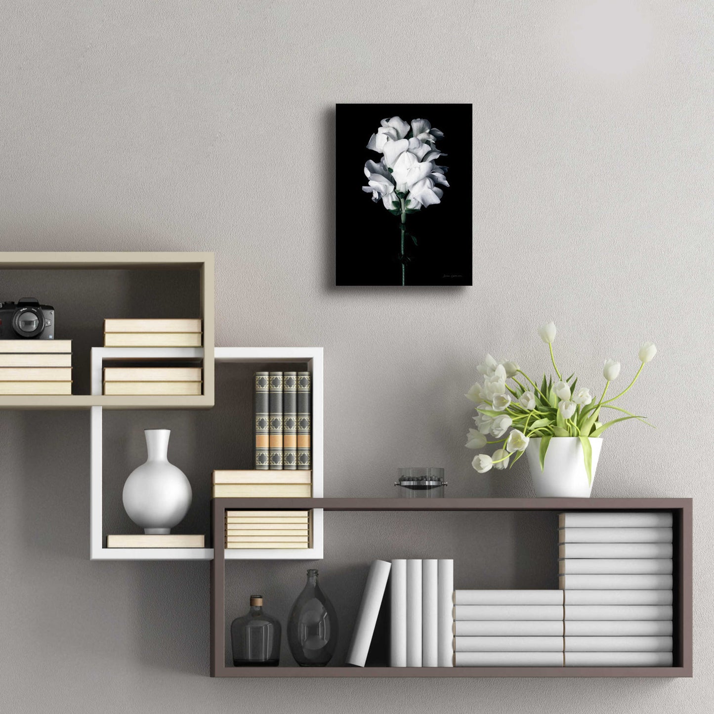 Epic Art 'White Snapdragon' by Elise Catterall, Acrylic Glass Wall Art,12x16