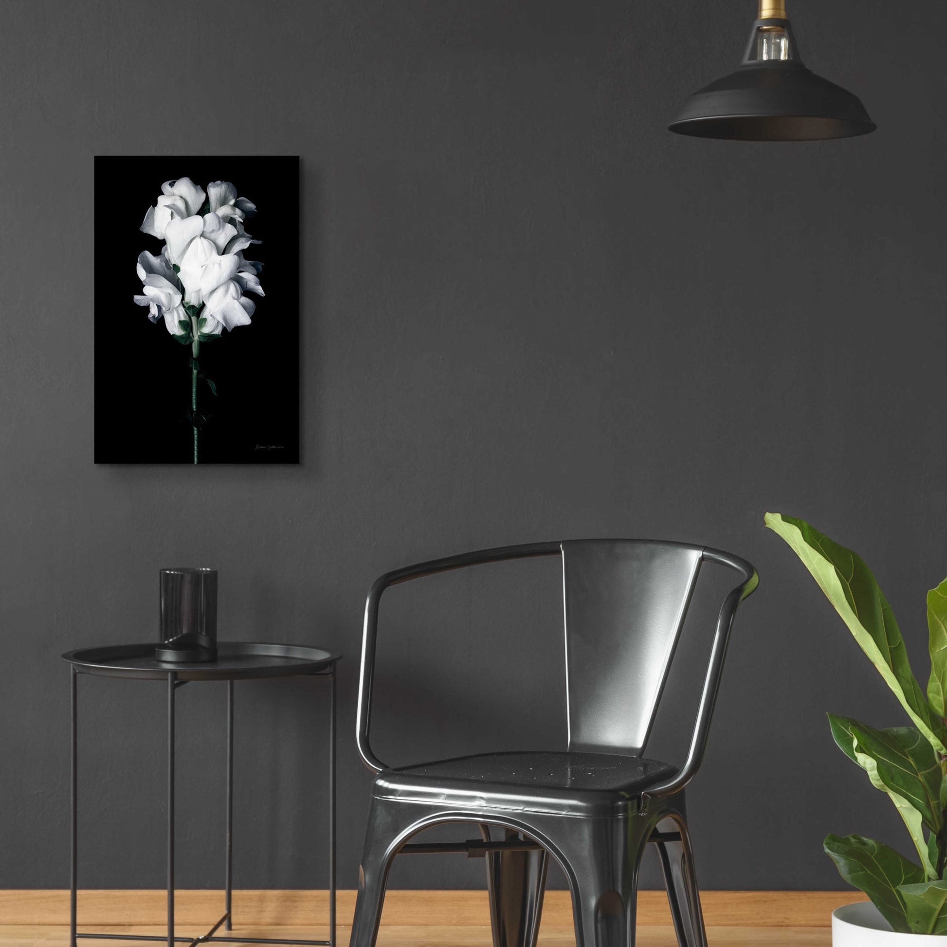 Epic Art 'White Snapdragon' by Elise Catterall, Acrylic Glass Wall Art,16x24