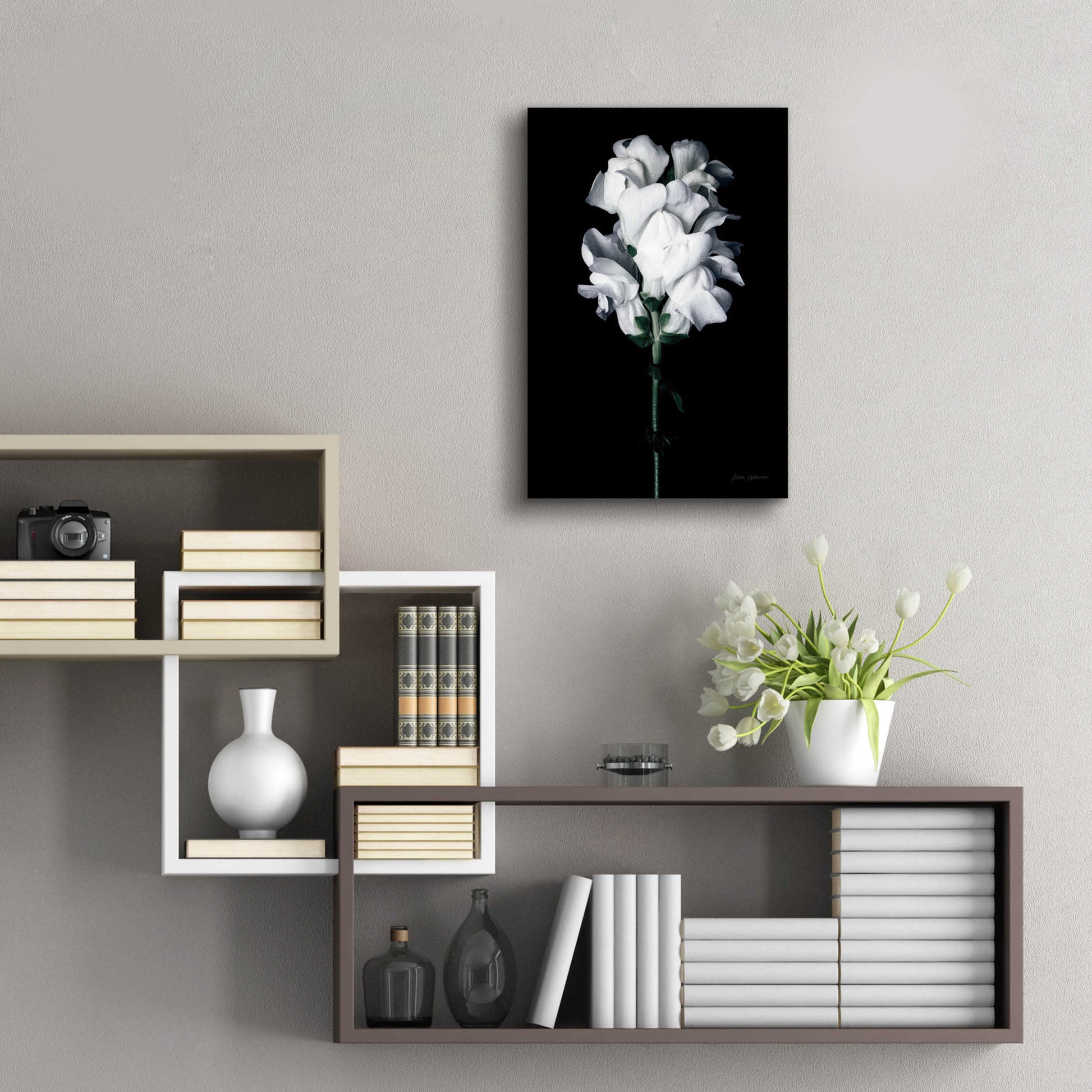 Epic Art 'White Snapdragon' by Elise Catterall, Acrylic Glass Wall Art,16x24