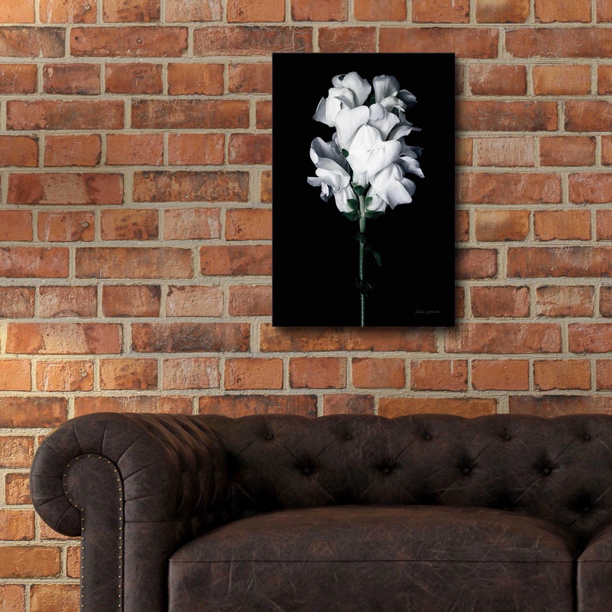 Epic Art 'White Snapdragon' by Elise Catterall, Acrylic Glass Wall Art,16x24