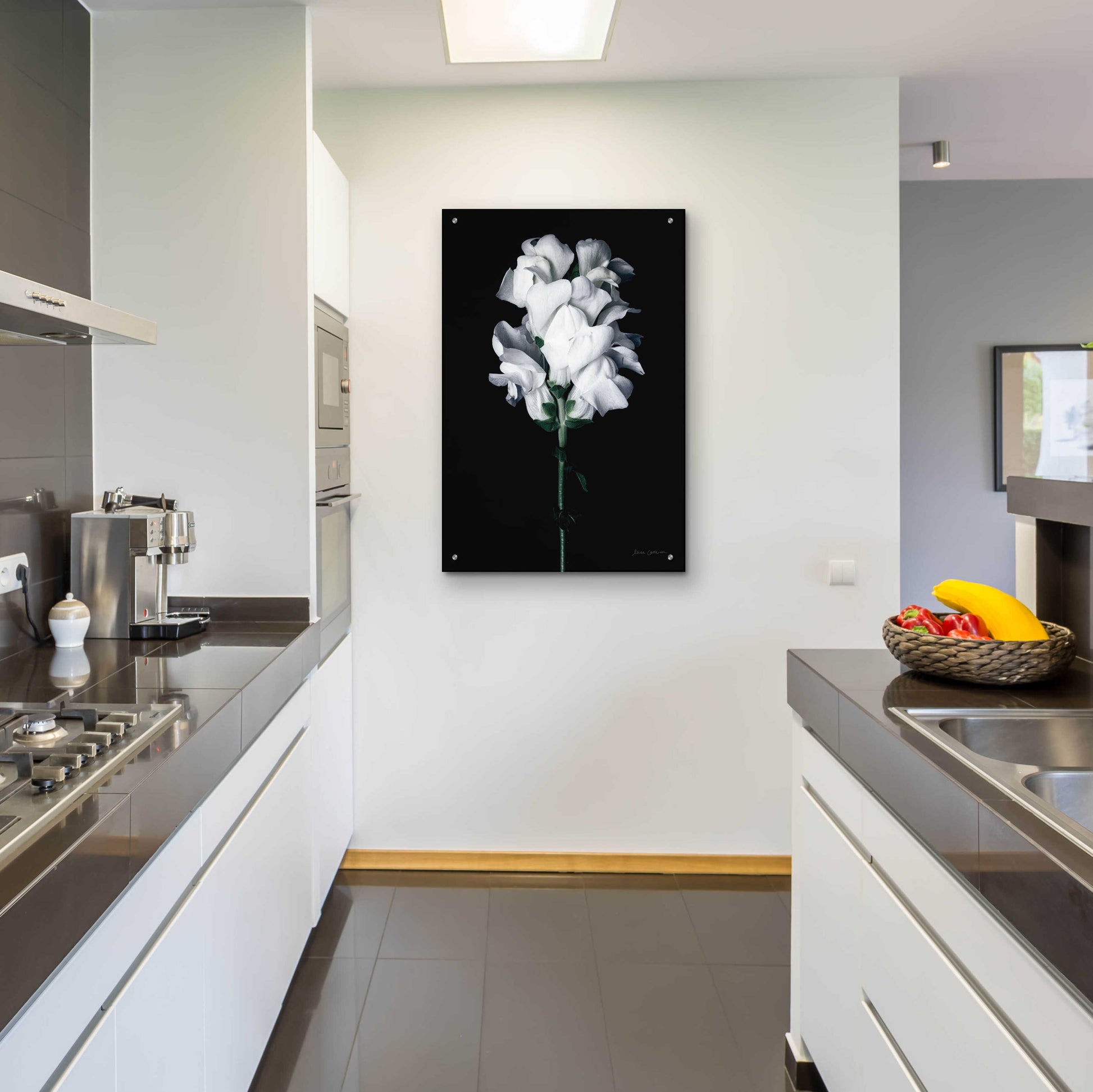 Epic Art 'White Snapdragon' by Elise Catterall, Acrylic Glass Wall Art,24x36