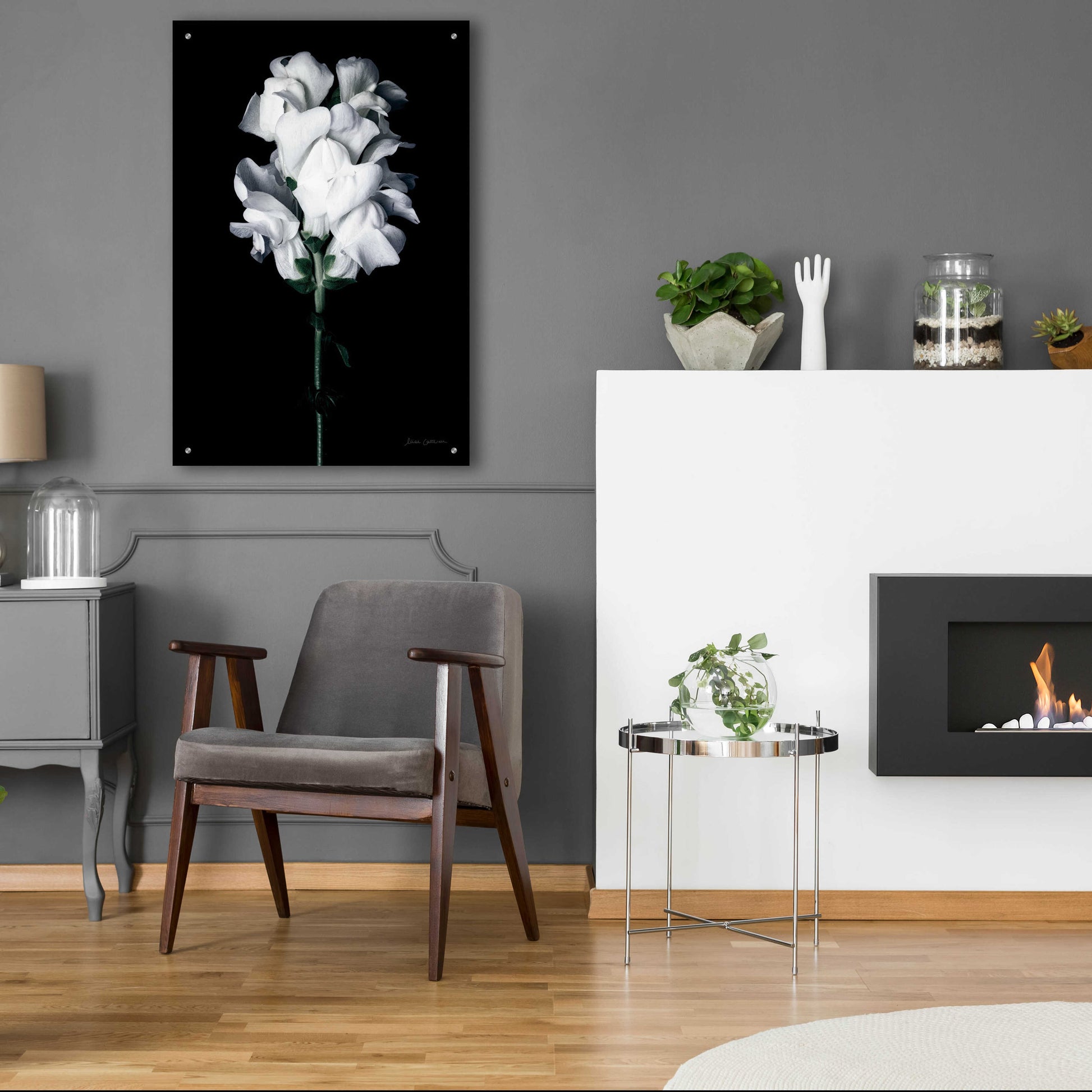 Epic Art 'White Snapdragon' by Elise Catterall, Acrylic Glass Wall Art,24x36