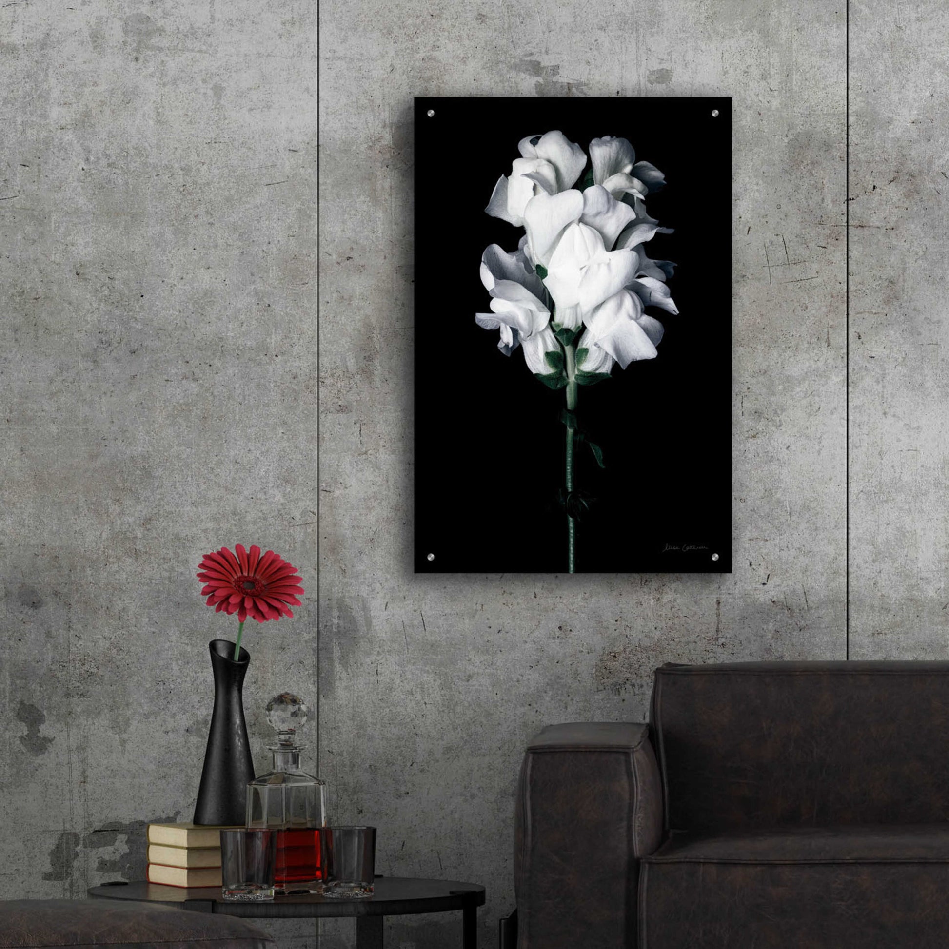 Epic Art 'White Snapdragon' by Elise Catterall, Acrylic Glass Wall Art,24x36