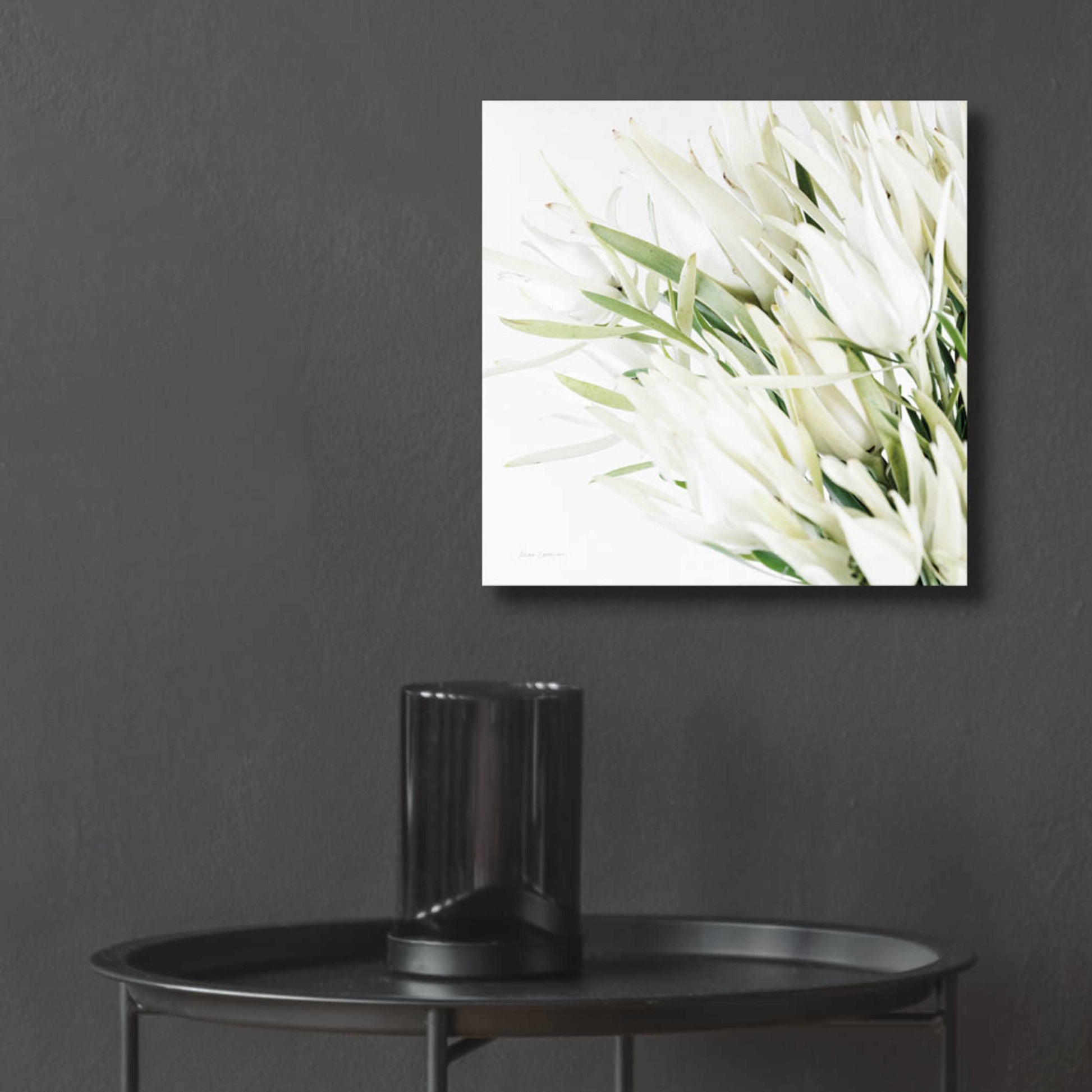 Epic Art 'Leucadendron Oasis Crop' by Elise Catterall, Acrylic Glass Wall Art,12x12