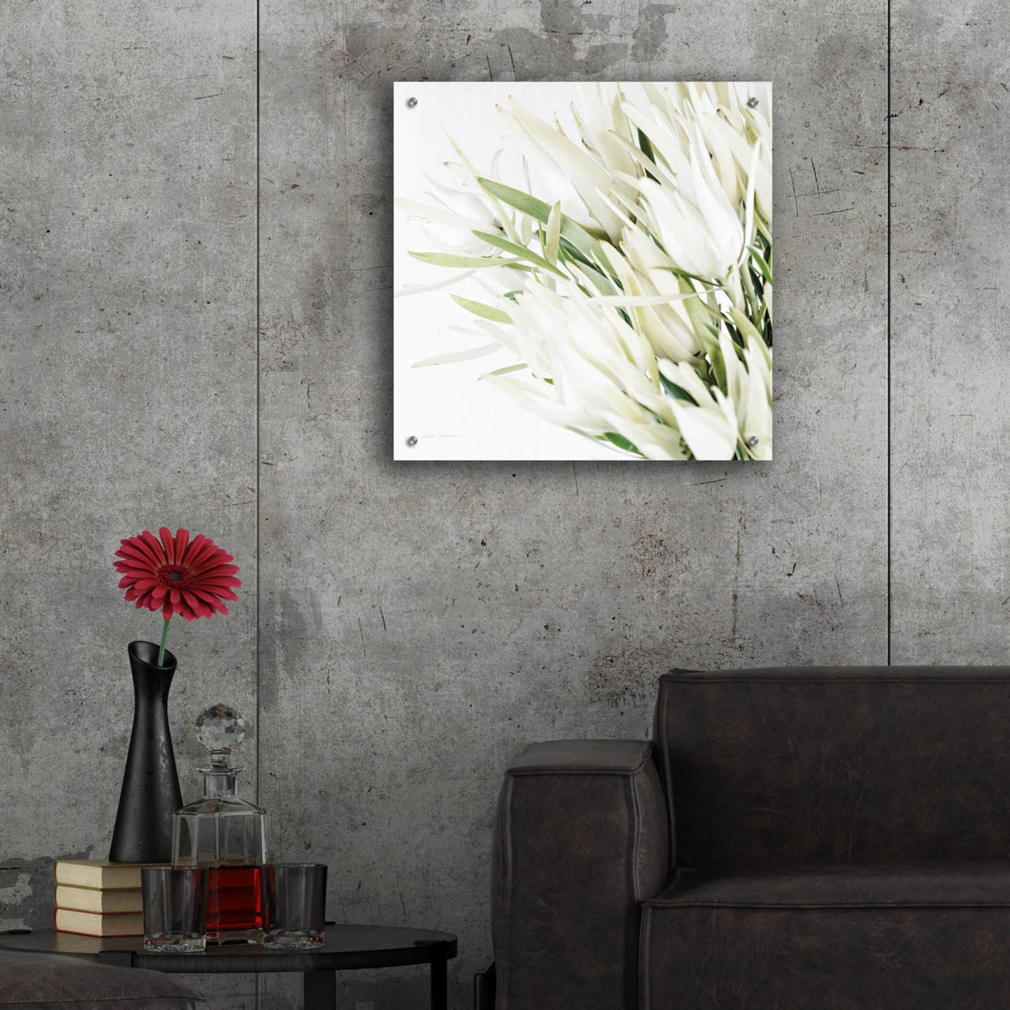 Epic Art 'Leucadendron Oasis Crop' by Elise Catterall, Acrylic Glass Wall Art,24x24