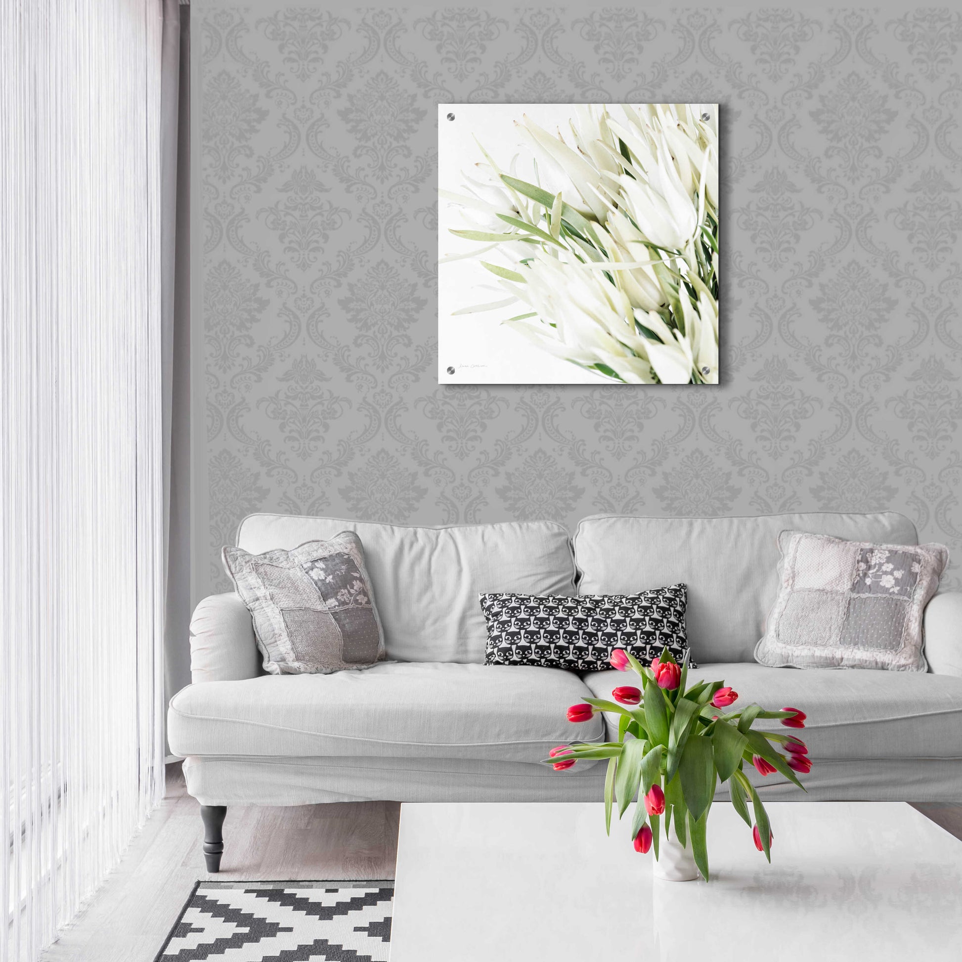 Epic Art 'Leucadendron Oasis Crop' by Elise Catterall, Acrylic Glass Wall Art,24x24