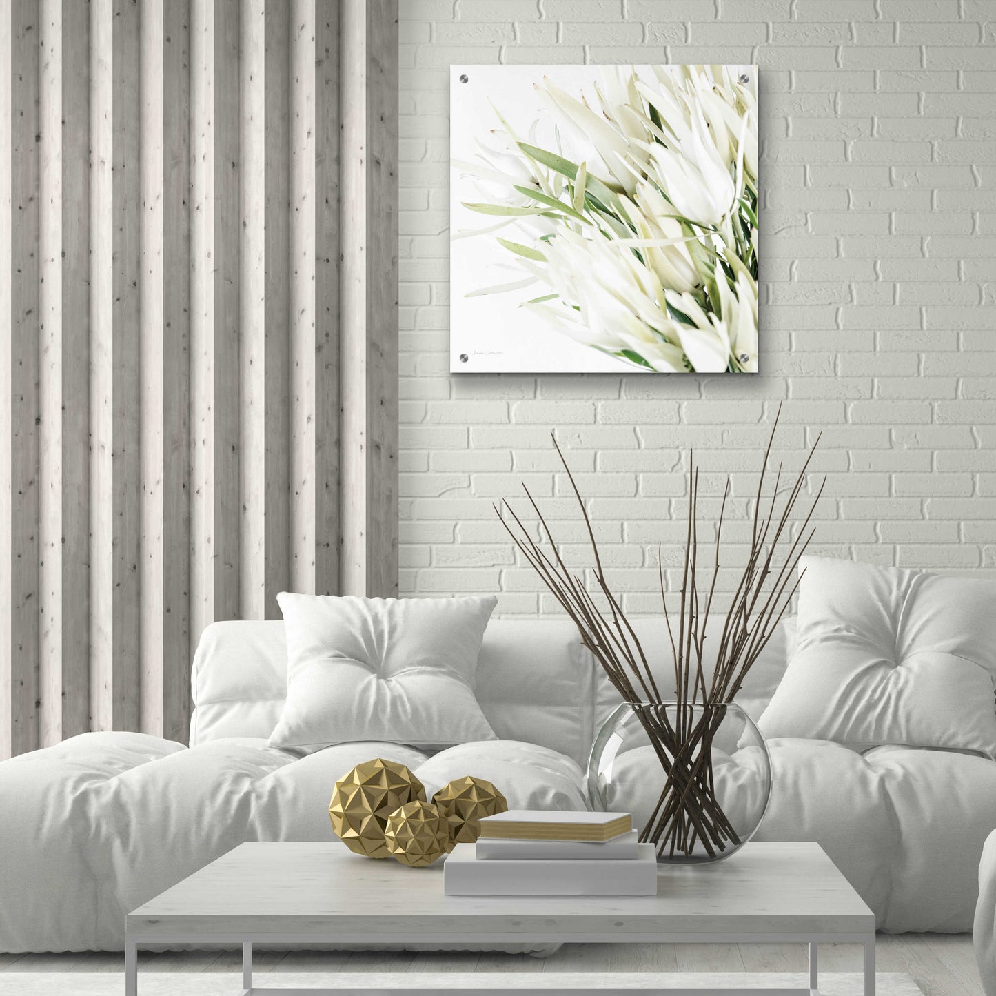 Epic Art 'Leucadendron Oasis Crop' by Elise Catterall, Acrylic Glass Wall Art,24x24