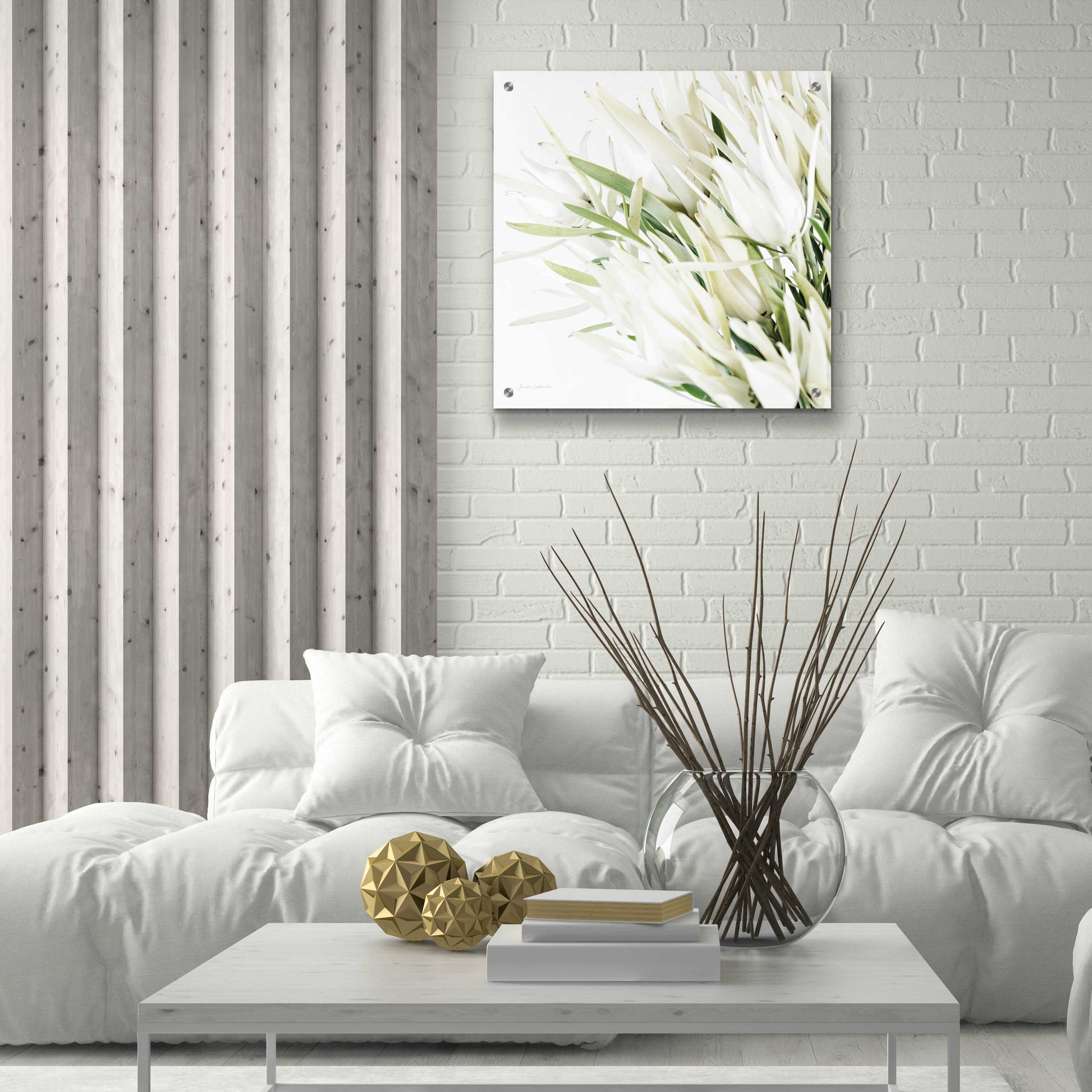 Epic Art 'Leucadendron Oasis Crop' by Elise Catterall, Acrylic Glass Wall Art,24x24