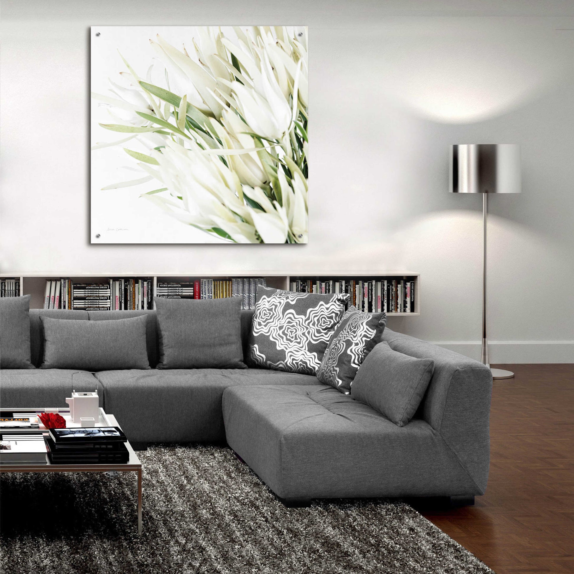 Epic Art 'Leucadendron Oasis Crop' by Elise Catterall, Acrylic Glass Wall Art,36x36