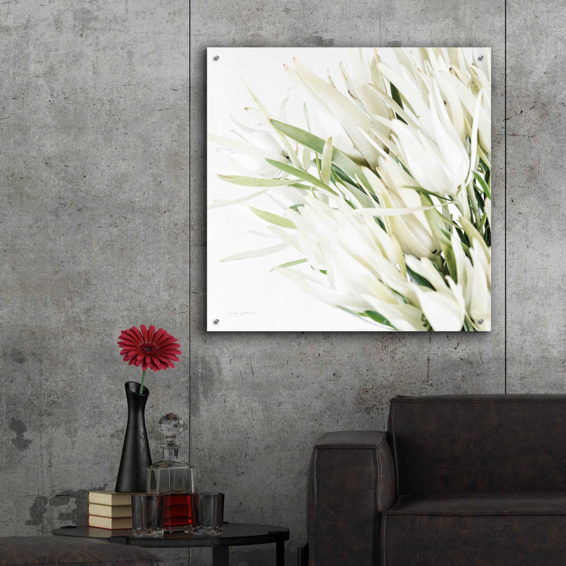 Epic Art 'Leucadendron Oasis Crop' by Elise Catterall, Acrylic Glass Wall Art,36x36