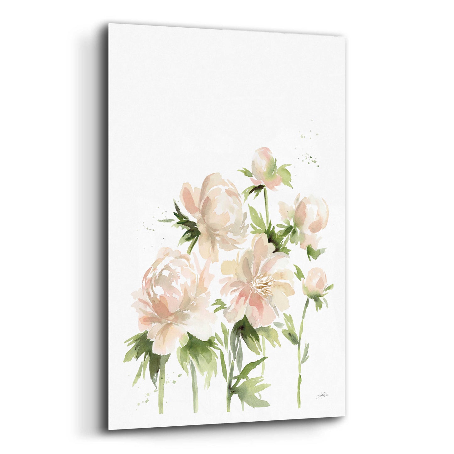 Epic Art 'Peonies I' by Katrina Pete, Acrylic Glass Wall Art,12x16