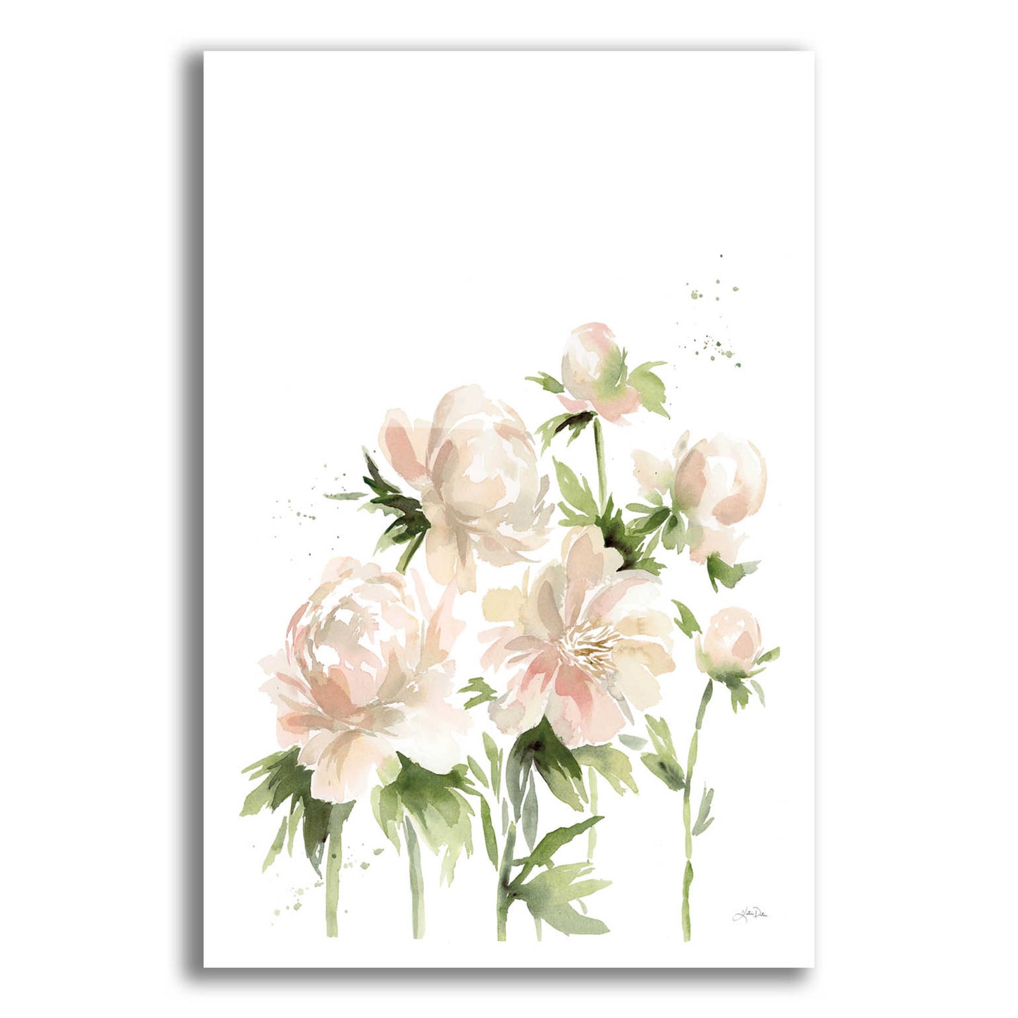 Epic Art 'Peonies I' by Katrina Pete, Acrylic Glass Wall Art,12x16