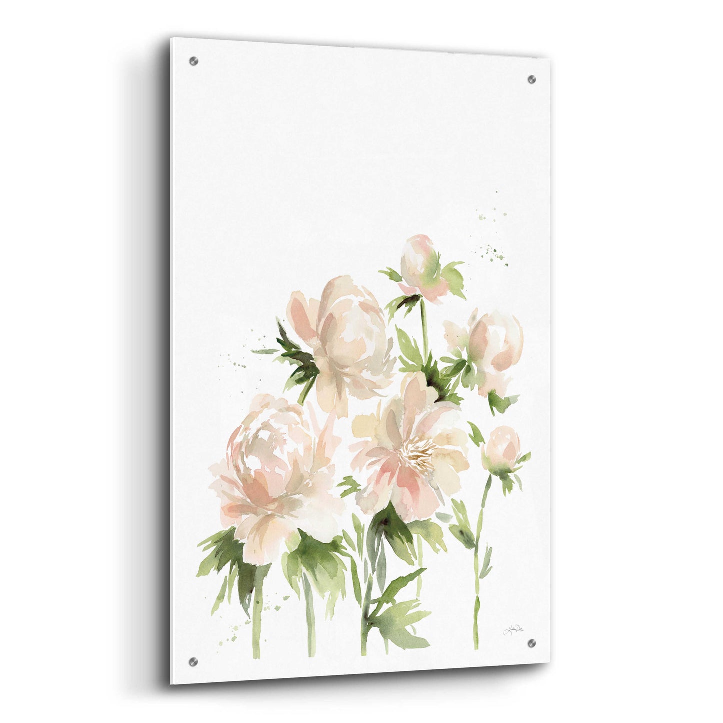 Epic Art 'Peonies I' by Katrina Pete, Acrylic Glass Wall Art,24x36