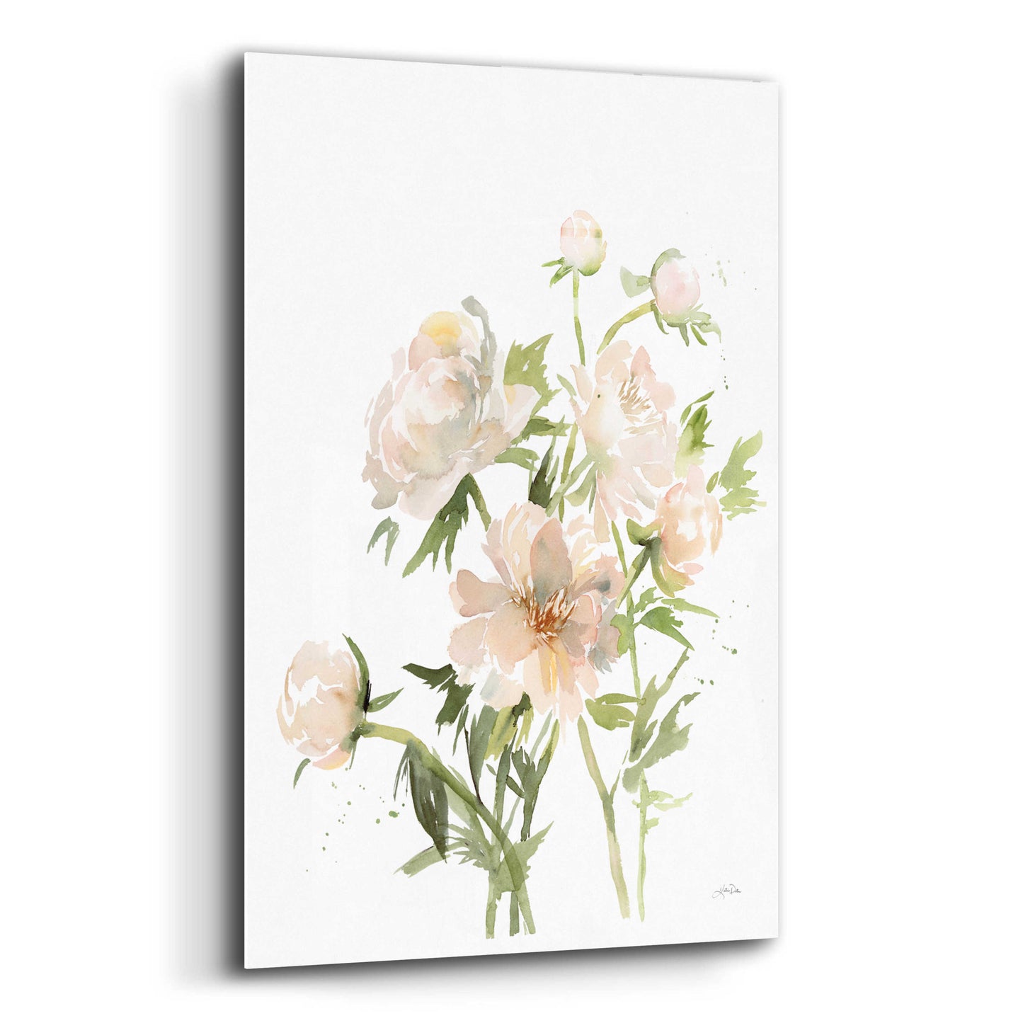 Epic Art 'Peonies II' by Katrina Pete, Acrylic Glass Wall Art,12x16