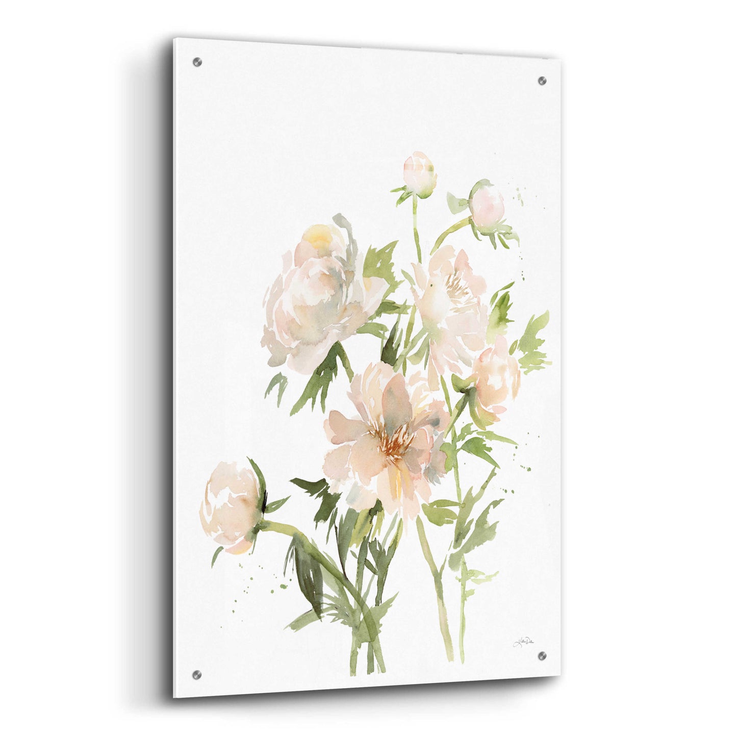 Epic Art 'Peonies II' by Katrina Pete, Acrylic Glass Wall Art,24x36