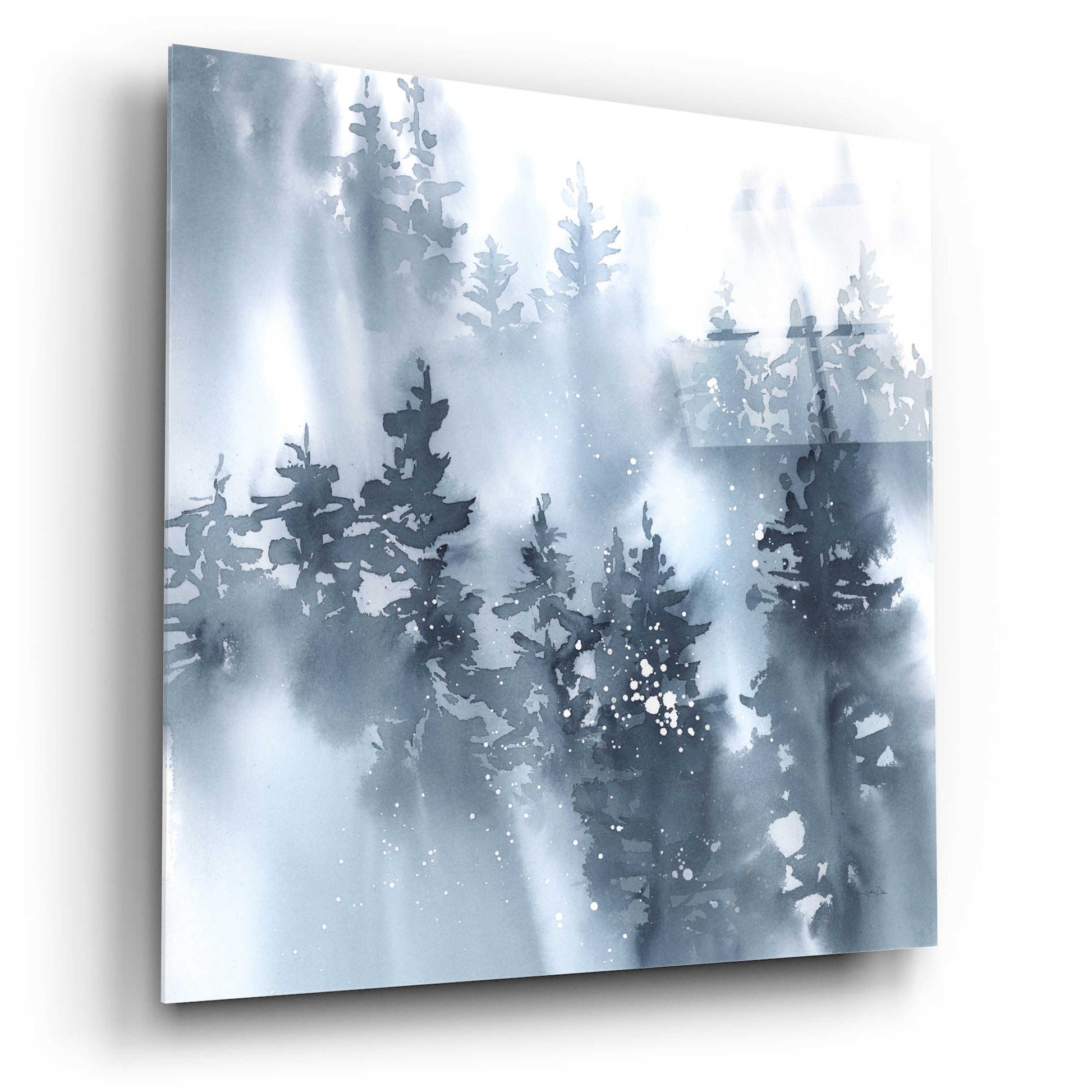 Epic Art 'Misty Forest I' by Katrina Pete, Acrylic Glass Wall Art,12x12