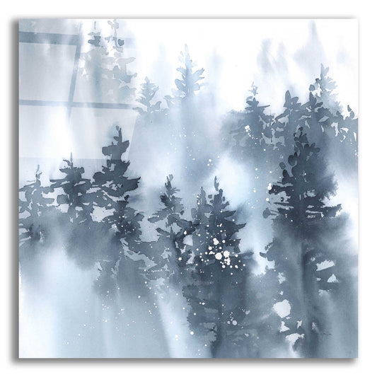 Epic Art 'Misty Forest I' by Katrina Pete, Acrylic Glass Wall Art